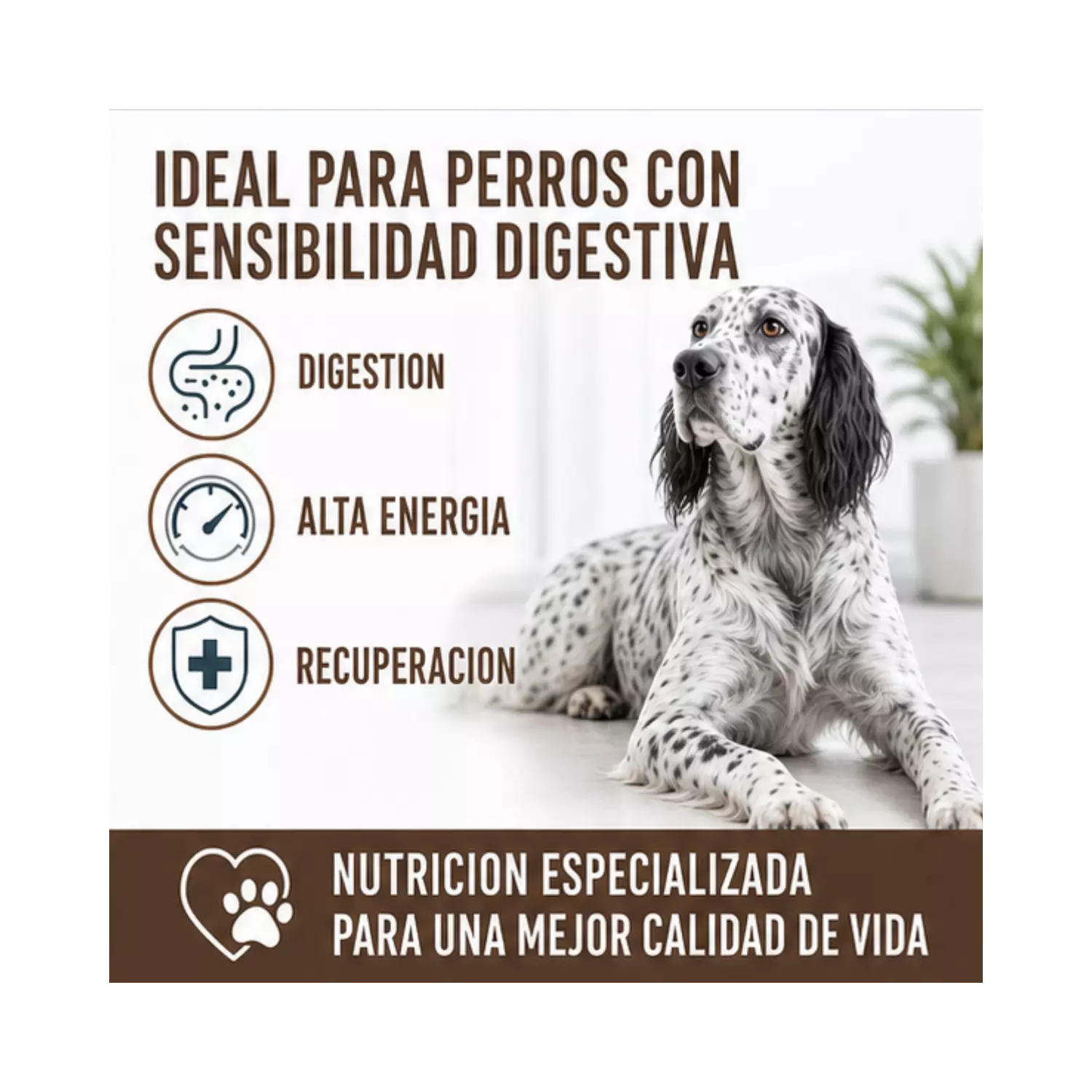 Royal Canin Gastrointestinal Saco 2 Kilo-3