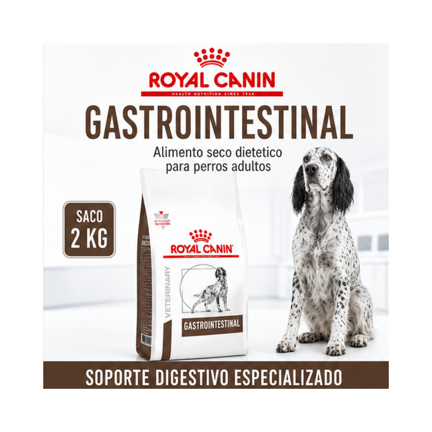 Royal Canin Gastrointestinal Saco 2 Kilo-4