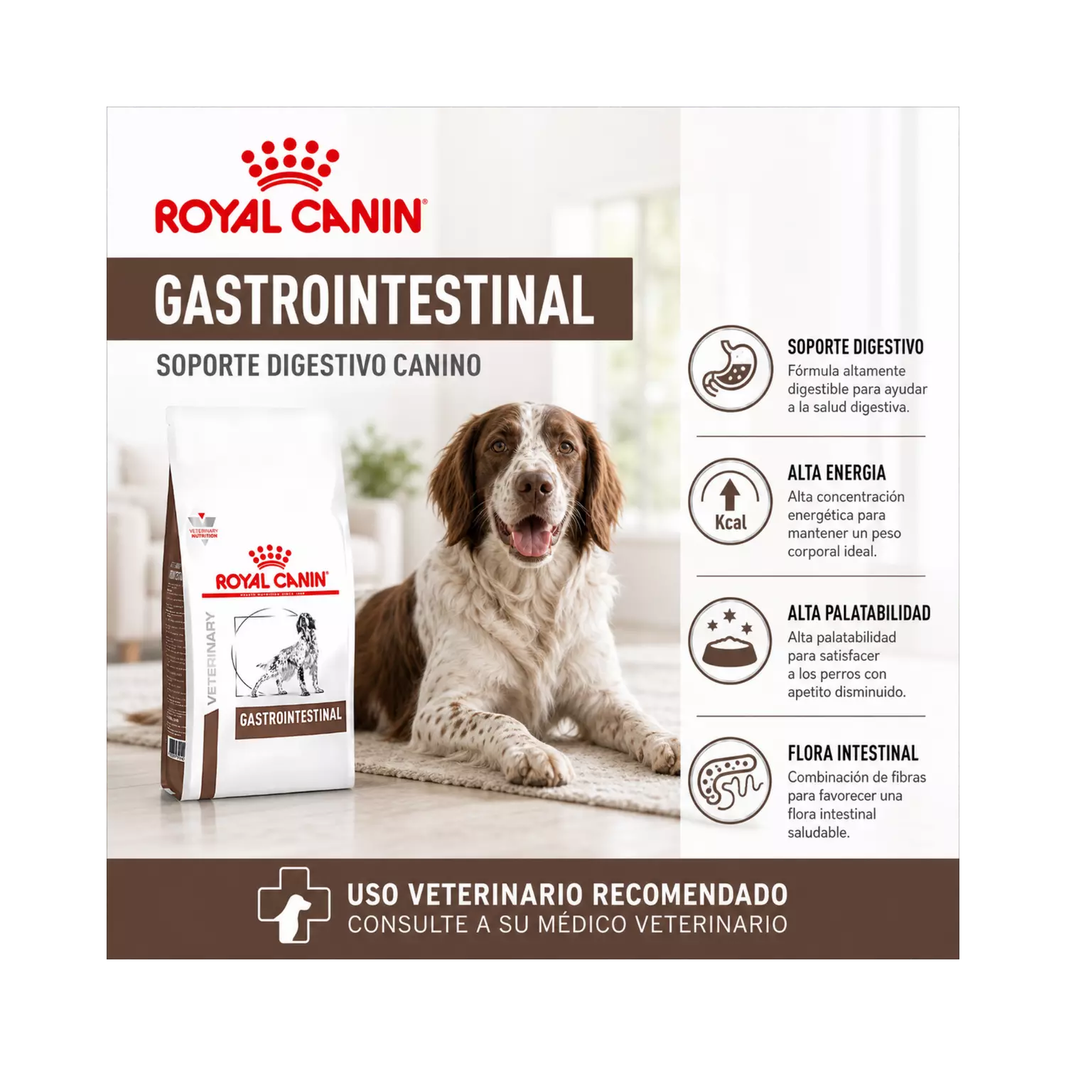 Royal Canin Gastrointestinal Saco 2 Kilo-5