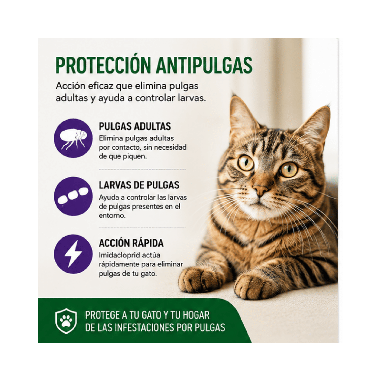 Advantage Gato 4 a 8 kg 0,8ml Antipulgas Externo Elanco-2