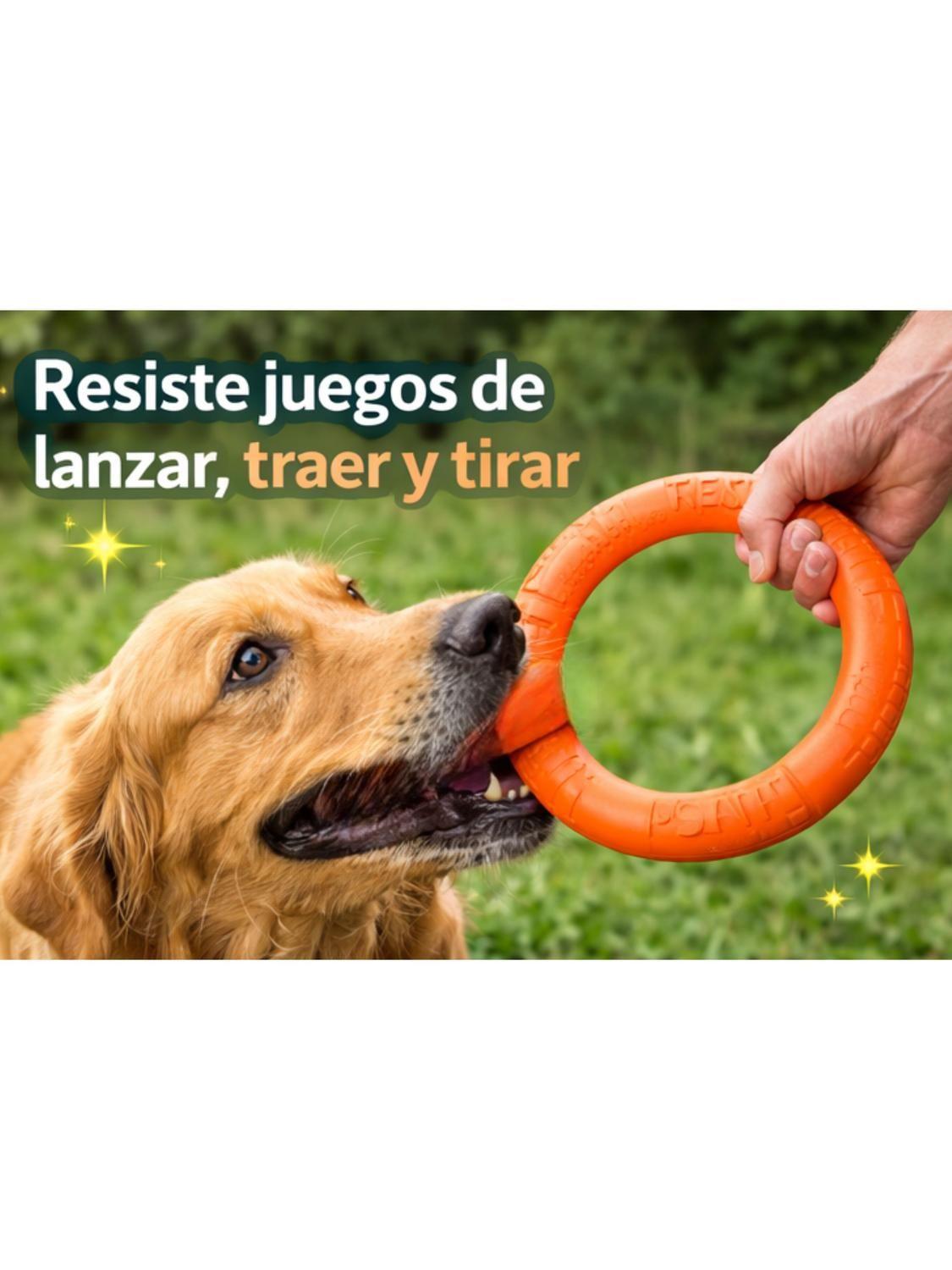 Anillo para Morder Perros EVA Flotante 27.5 cm-3