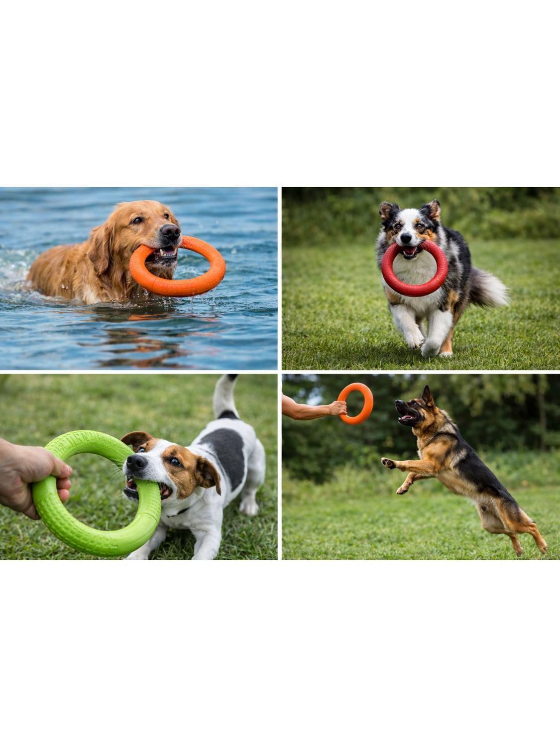 Anillo para Morder Perros EVA Flotante 27.5 cm-4