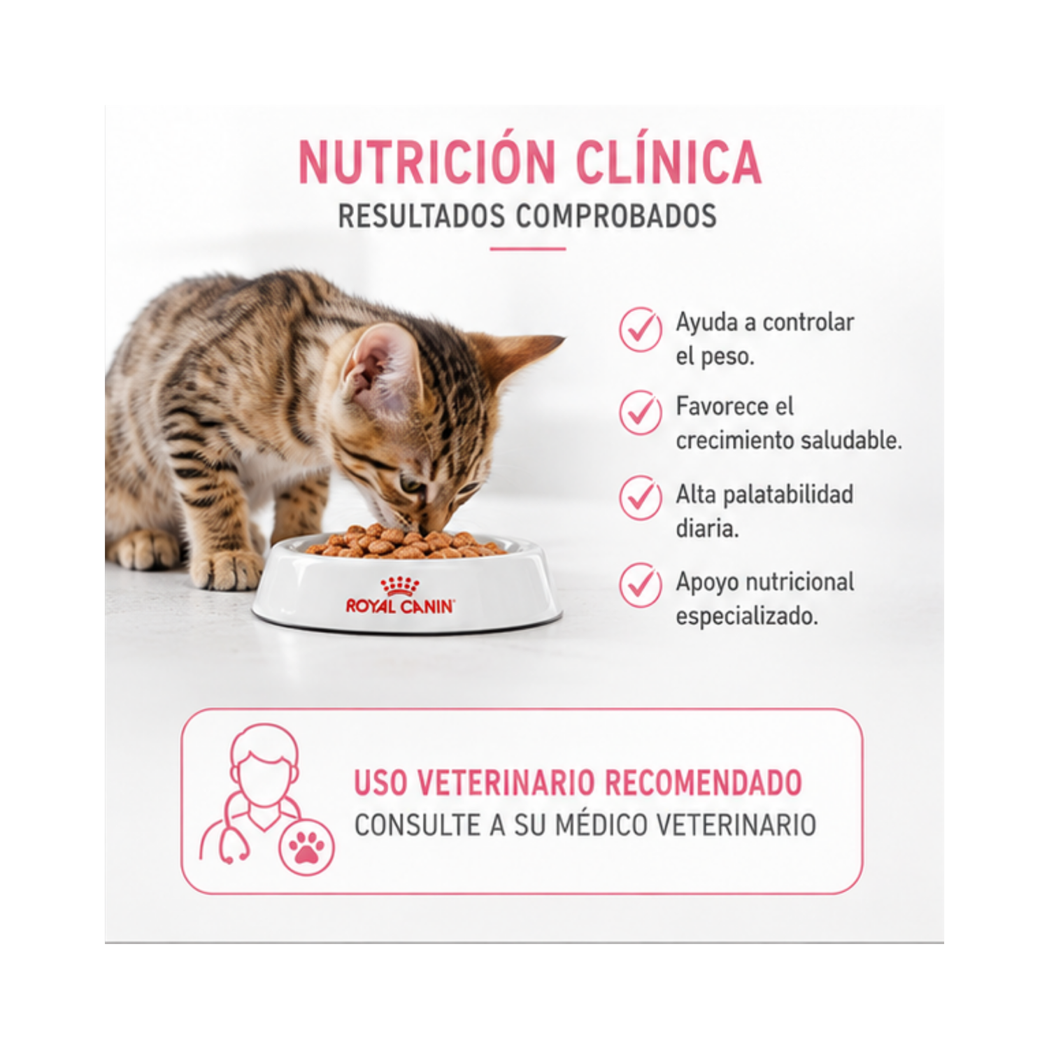 Royal Canin Kitten Esterilizado sobre 85g para gatitos-3