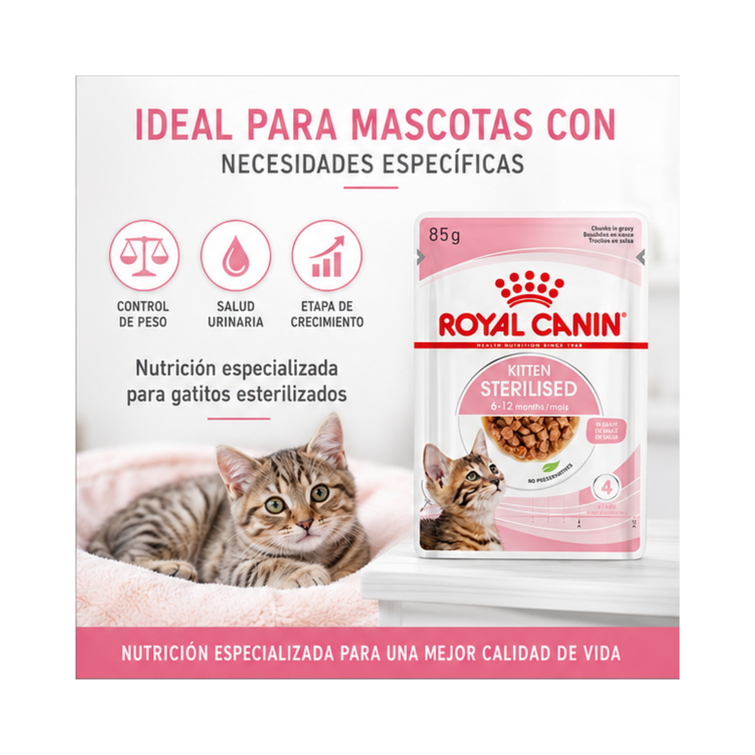 Royal Canin Kitten Esterilizado sobre 85g para gatitos-4