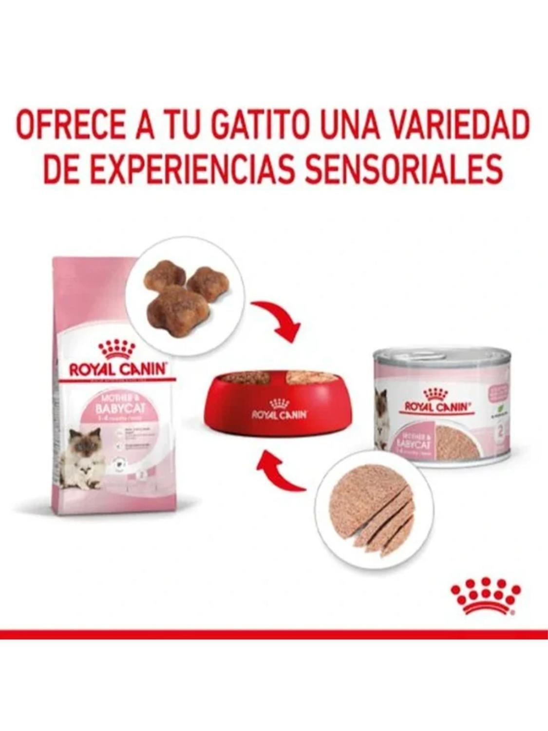 ALIMENTO ROYAL CANIN MOTHER AND BABYCAT Lata 145Gr PACK X6-2