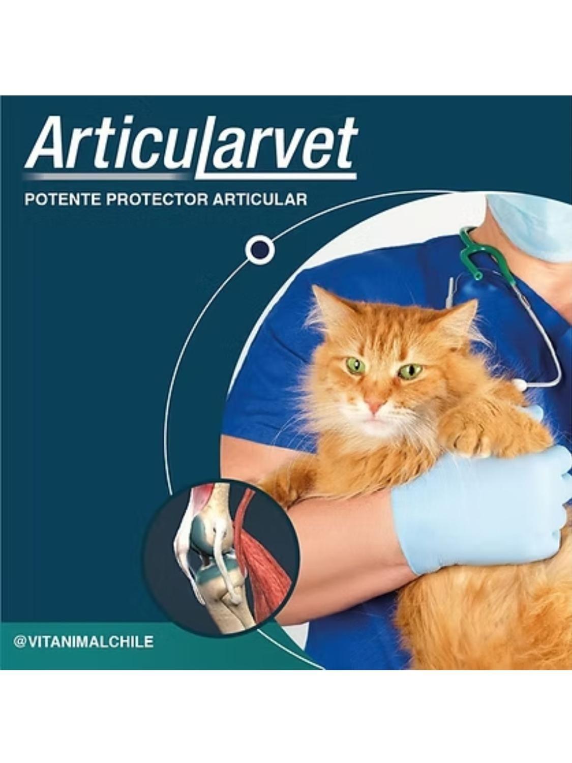 Articularvet - 30 Comprimidos-3