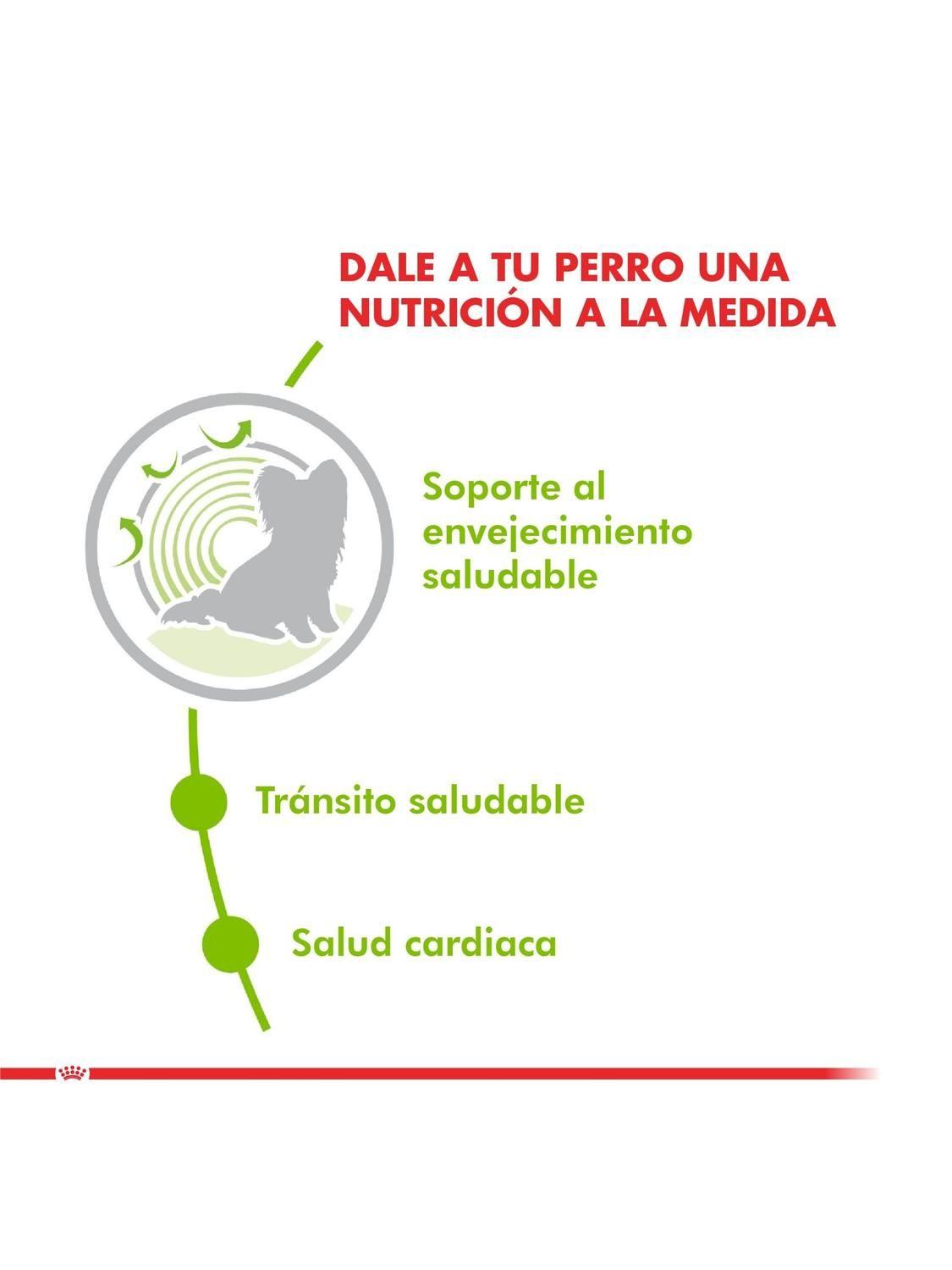 Alimento Royal Canin X-small Ageing 12+ 1kg-2