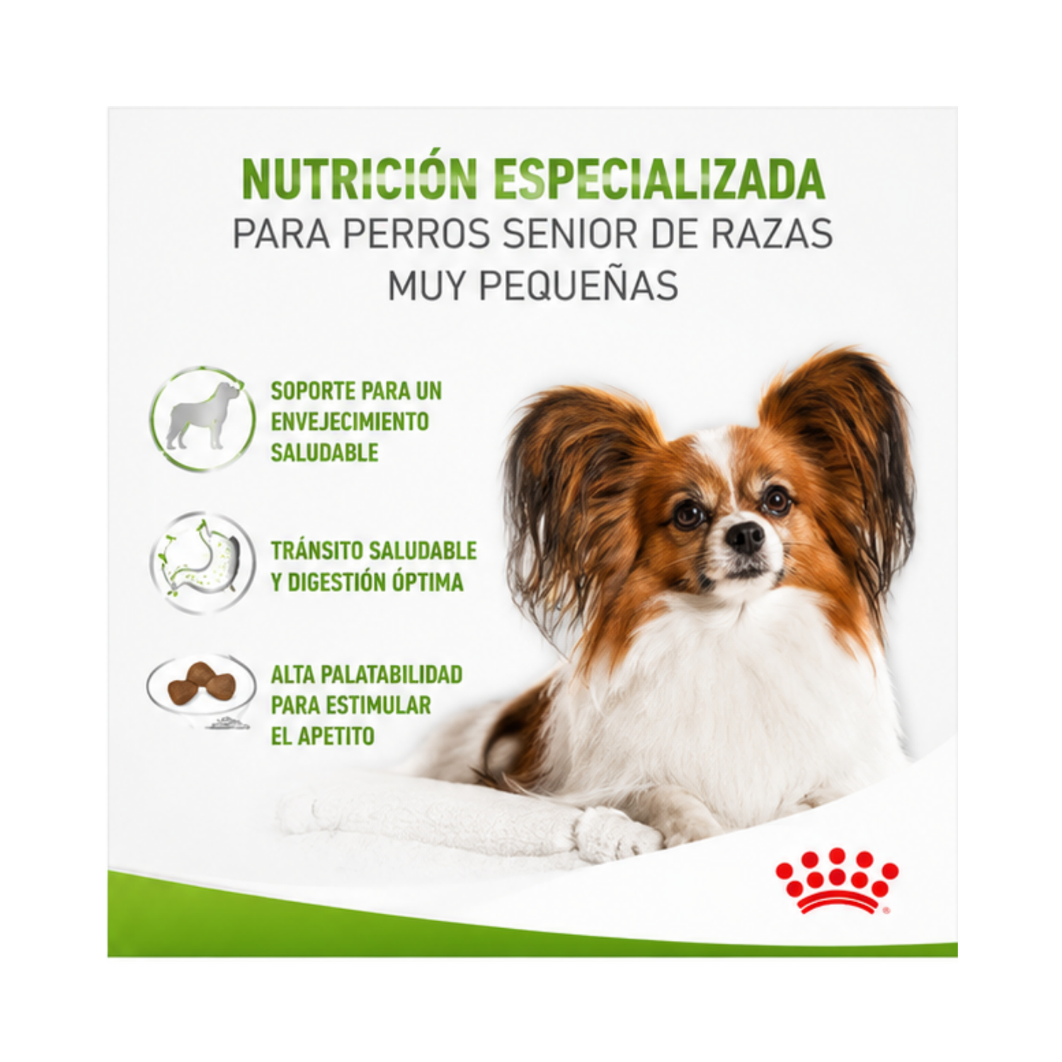 Royal Canin X-small Ageing 12+ 1kg-1