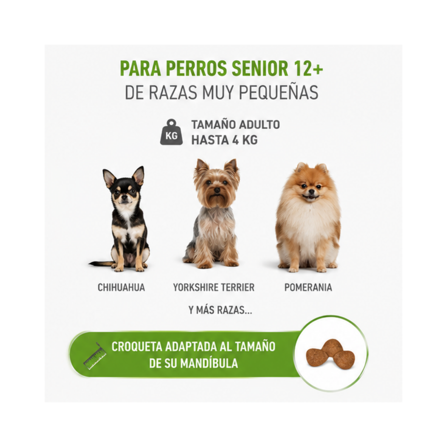 Royal Canin X-small Ageing 12+ 1kg-2
