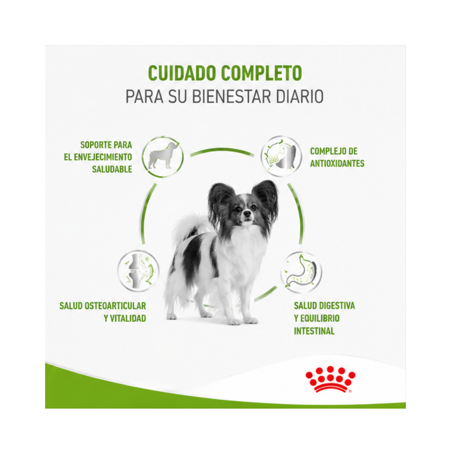 Royal Canin X-small Ageing 12+ 1kg-3