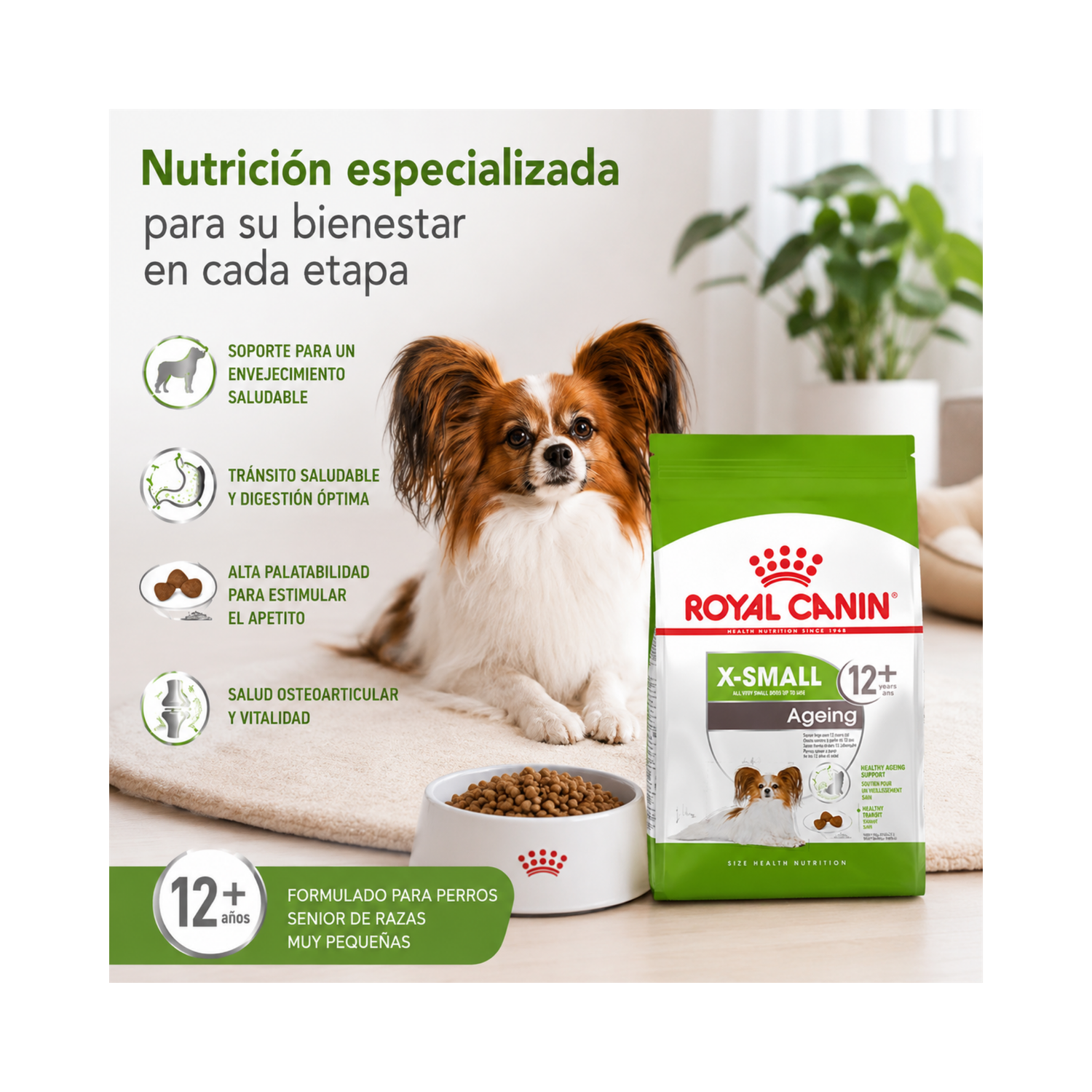Royal Canin X-small Ageing 12+ 1kg-4