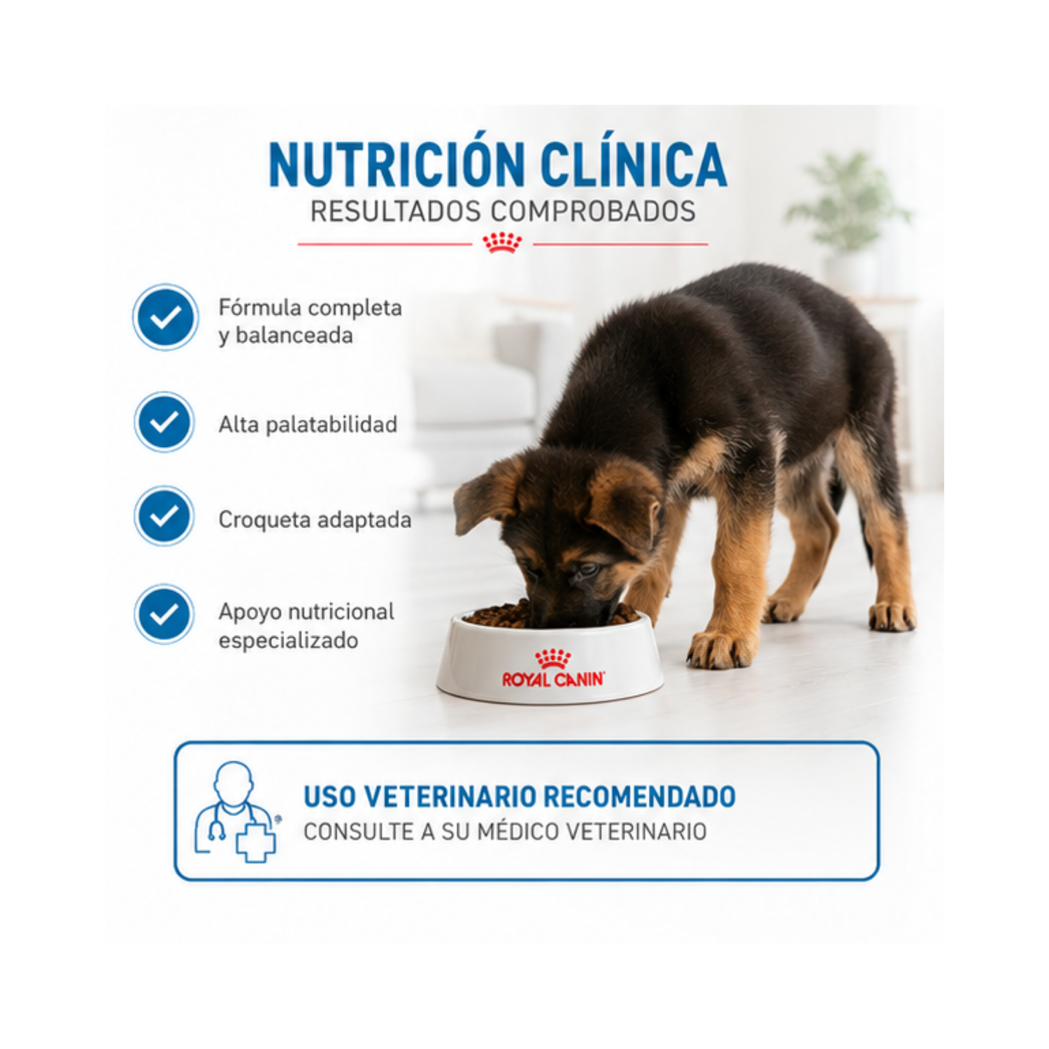 Alimento Royal Canin MAXI PUPPY 12KG-3