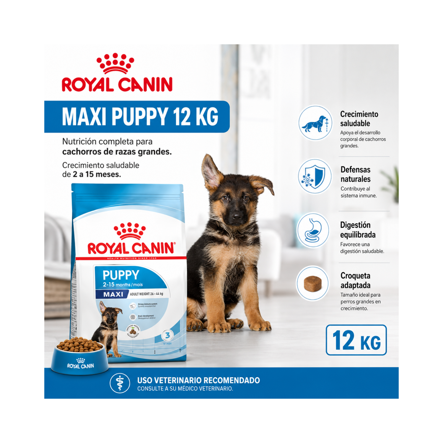 Alimento Royal Canin MAXI PUPPY 12KG-5