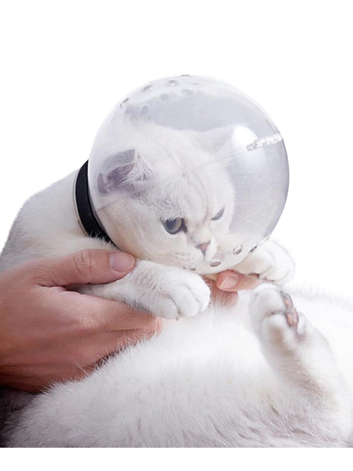 Bozal Cupula para Gatos protector anti Mordidas - 70mm-2