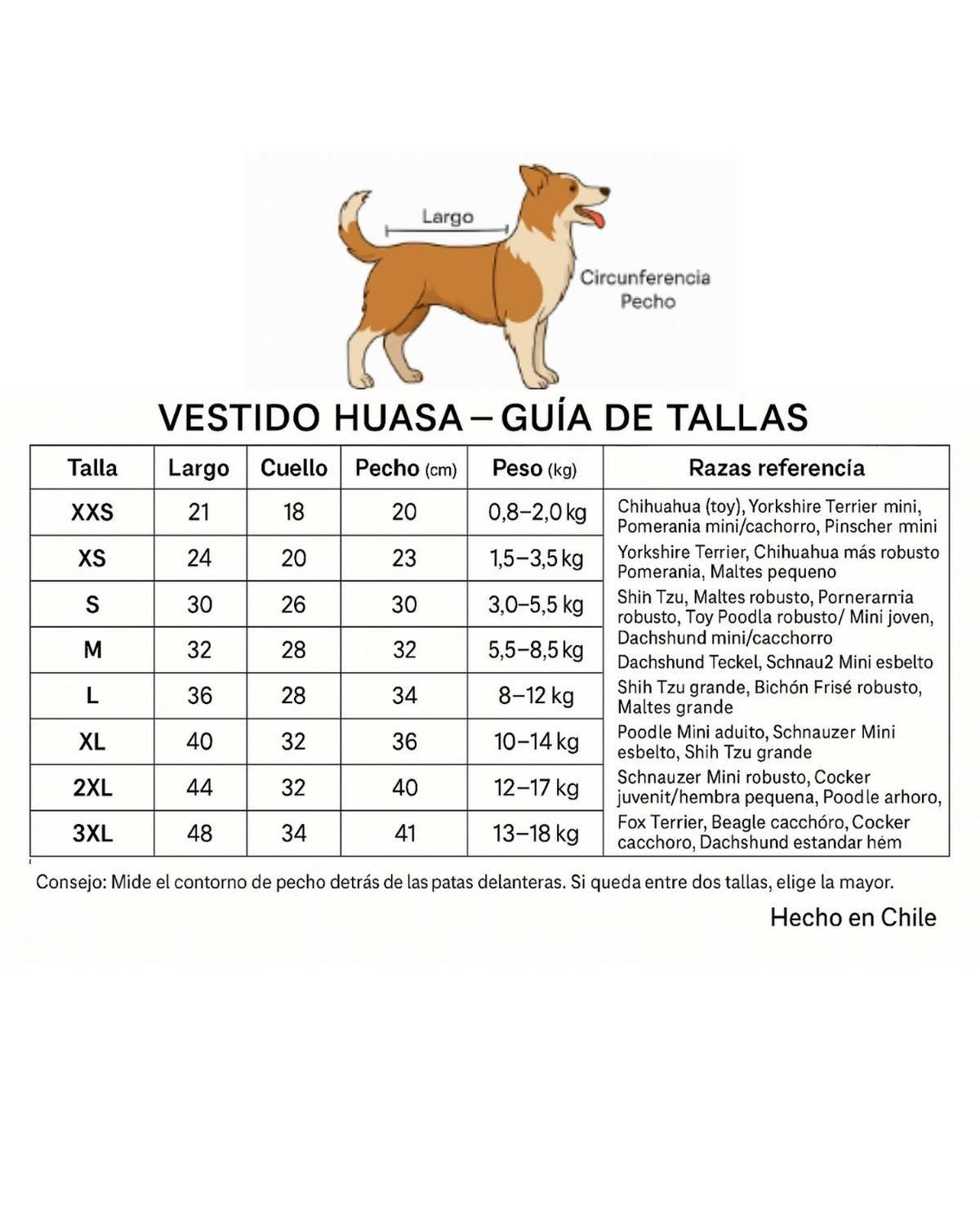 Vestido Huasa para Perro Talla 3XL | Fiestas Patrias-1