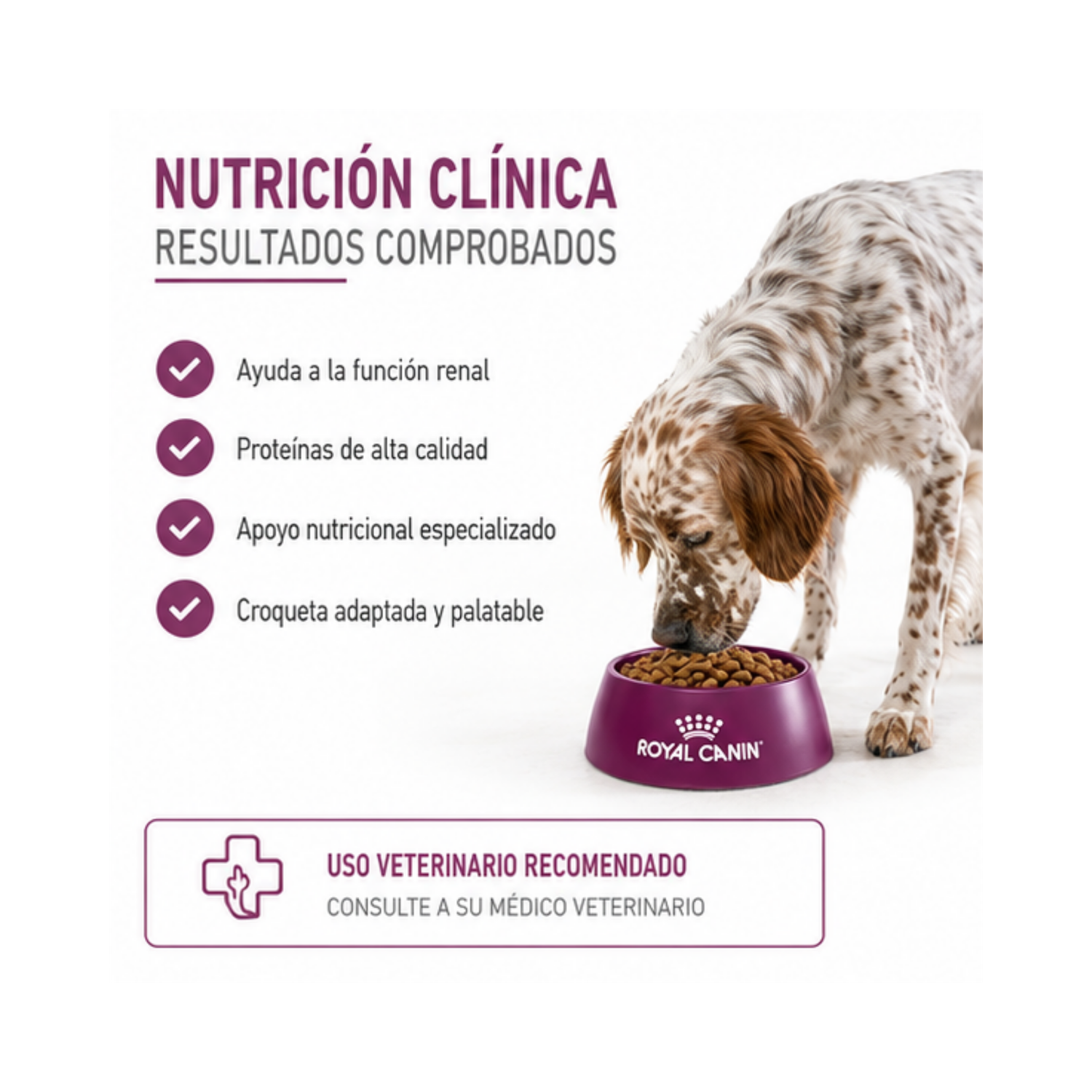 Royal Canin Renal Saco 10 Kilo-2