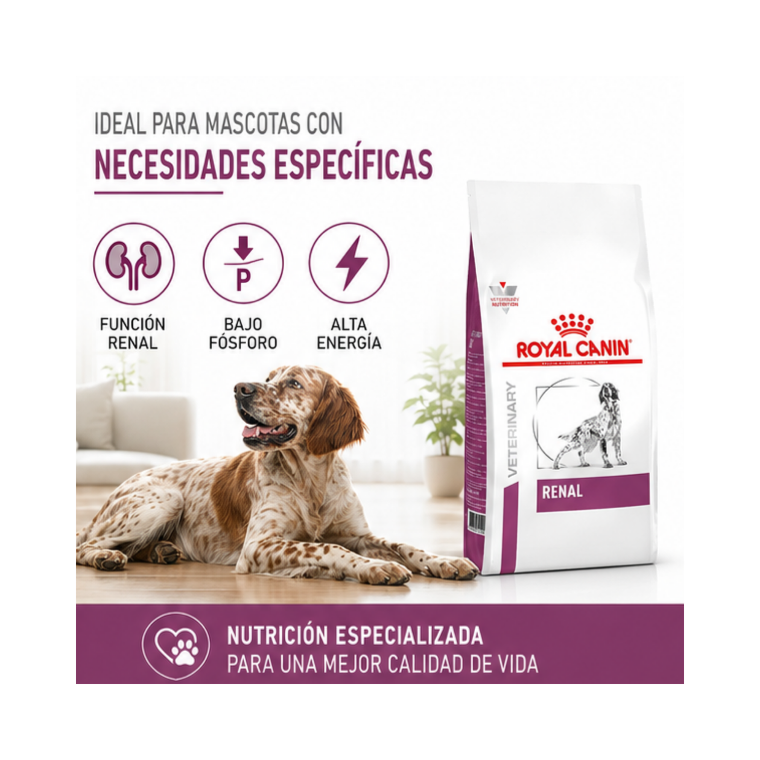 Royal Canin Renal Saco 10 Kilo-3