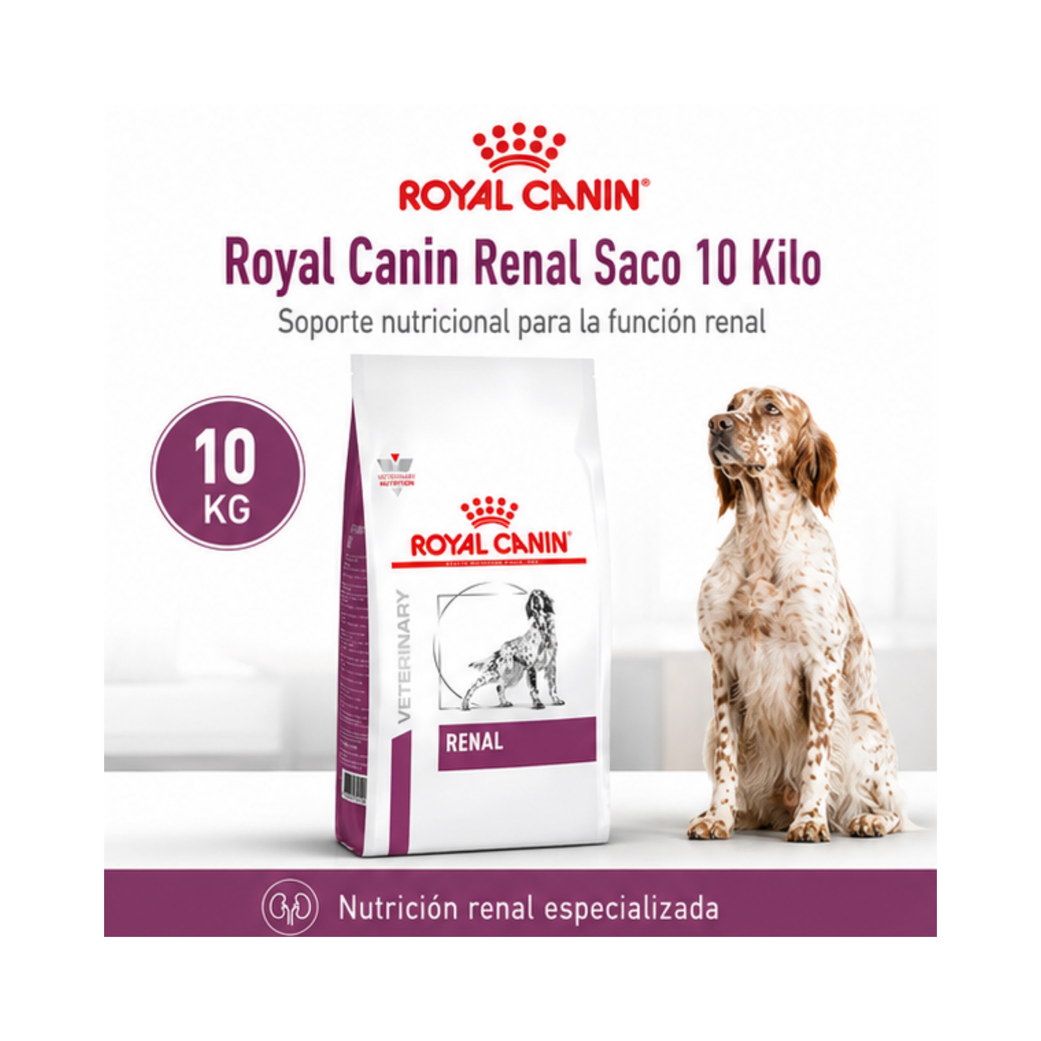 Royal Canin Renal Saco 10 Kilo-4
