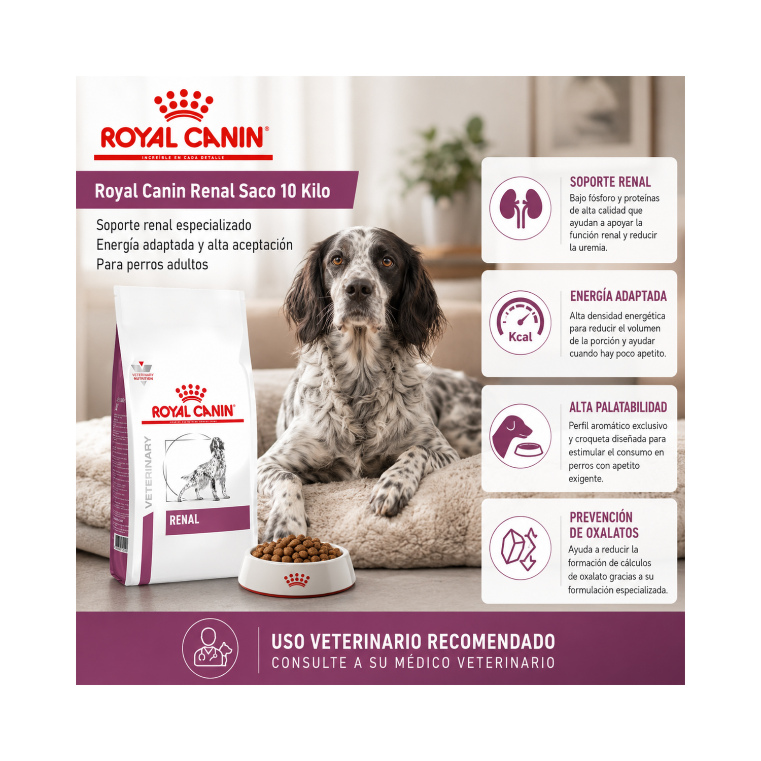 Royal Canin Renal Saco 10 Kilo-5