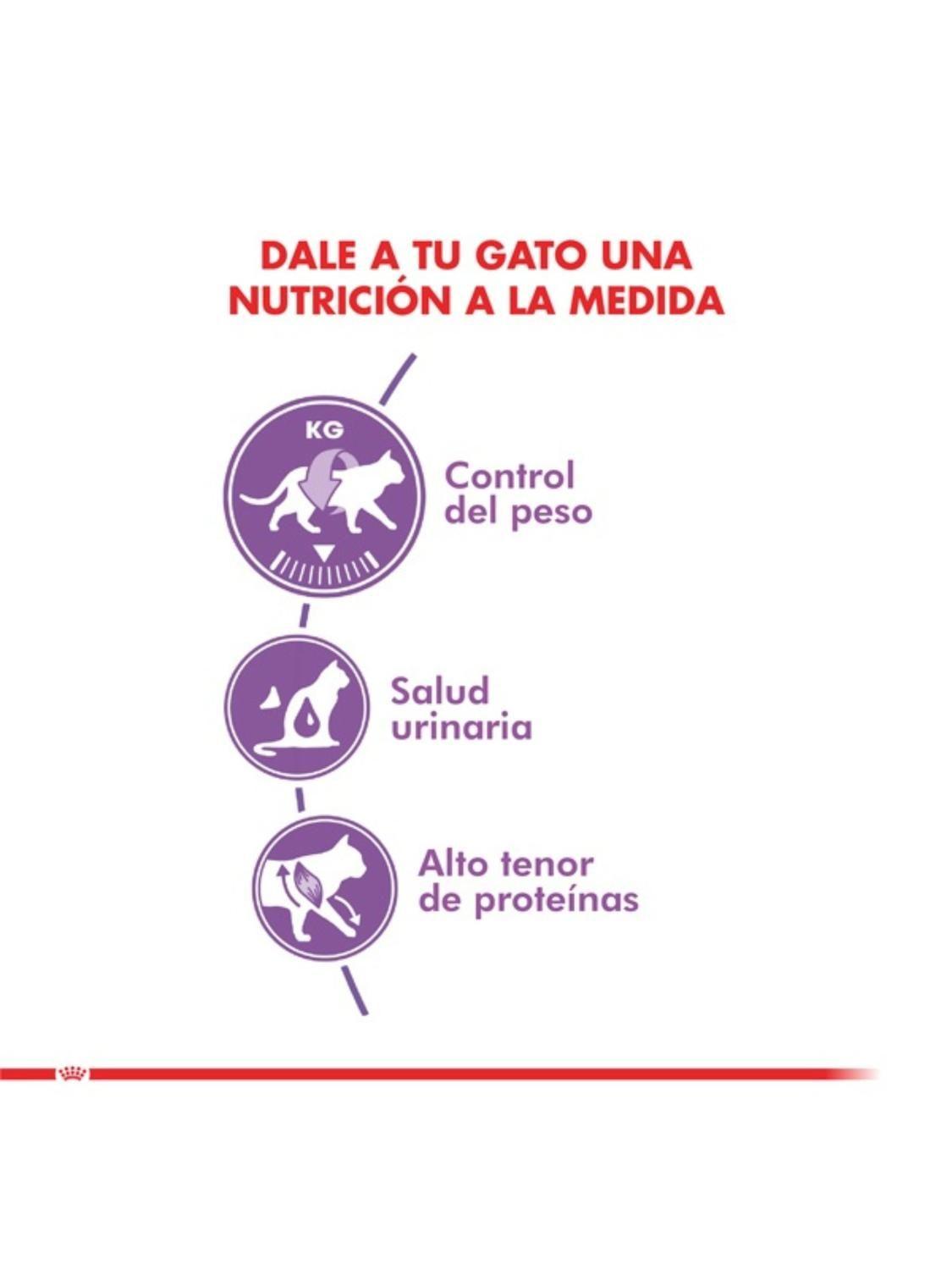 Royal Canin Sterilised 7+ Gato Adulto 4 kg | Castrados-3