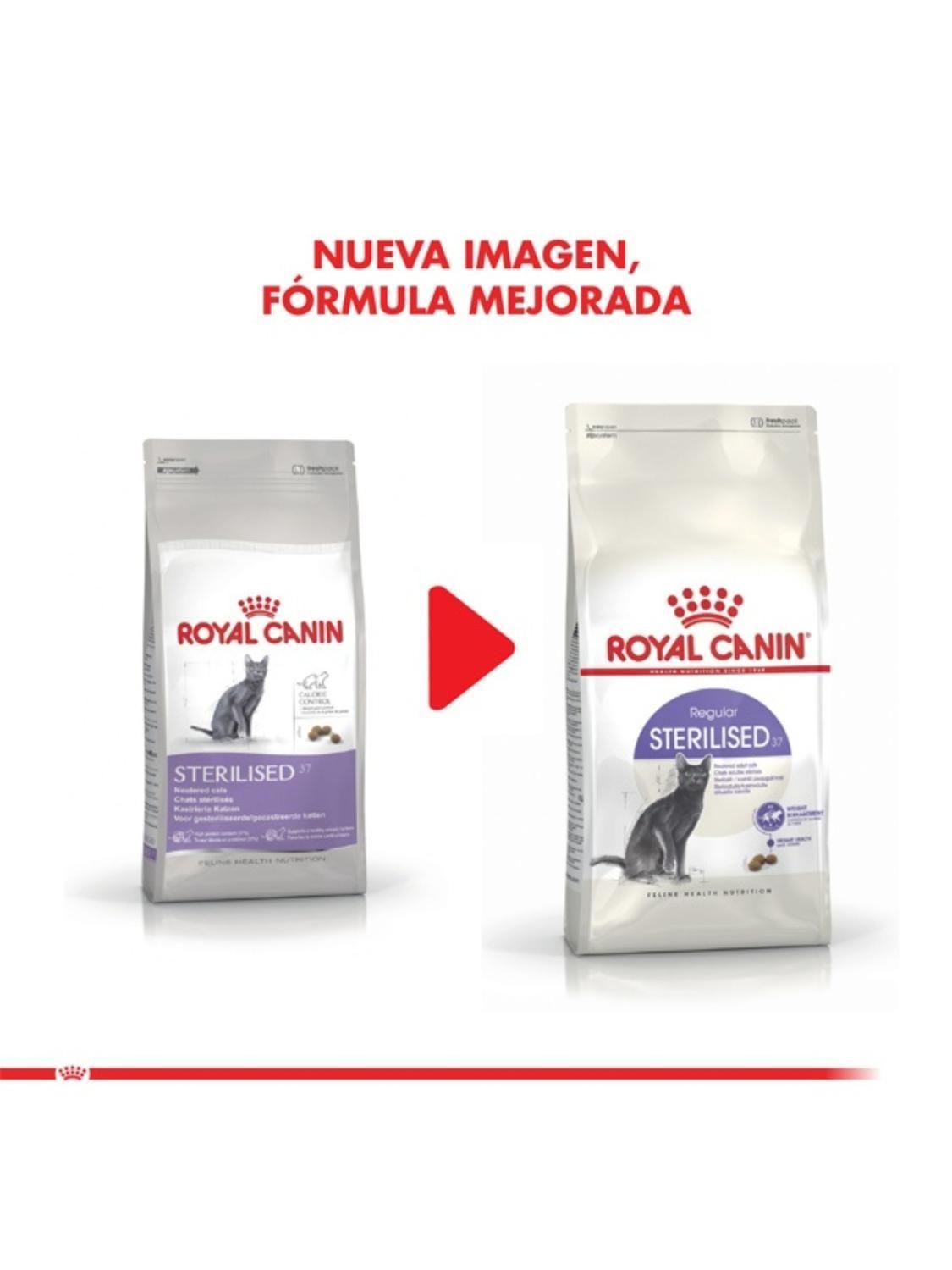 Royal Canin Sterilised 7+ Gato Adulto 4 kg | Castrados-5