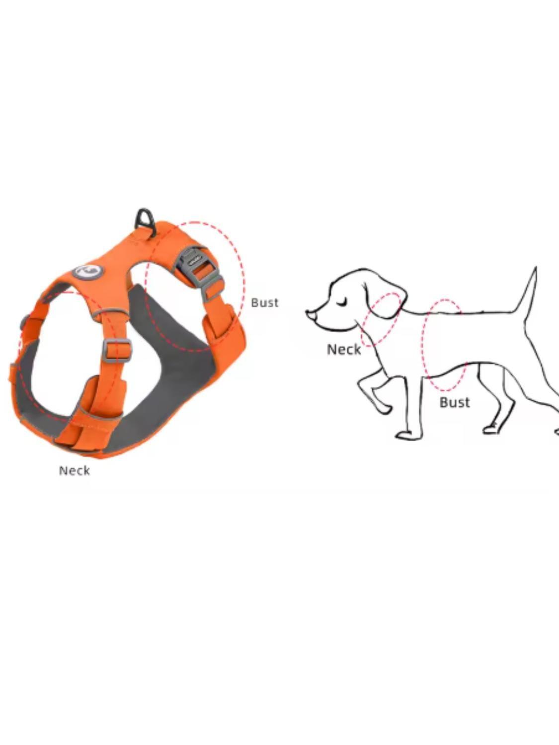 Arnés Antitirones Antiasfixia Para Perro Mediano Talla M-4