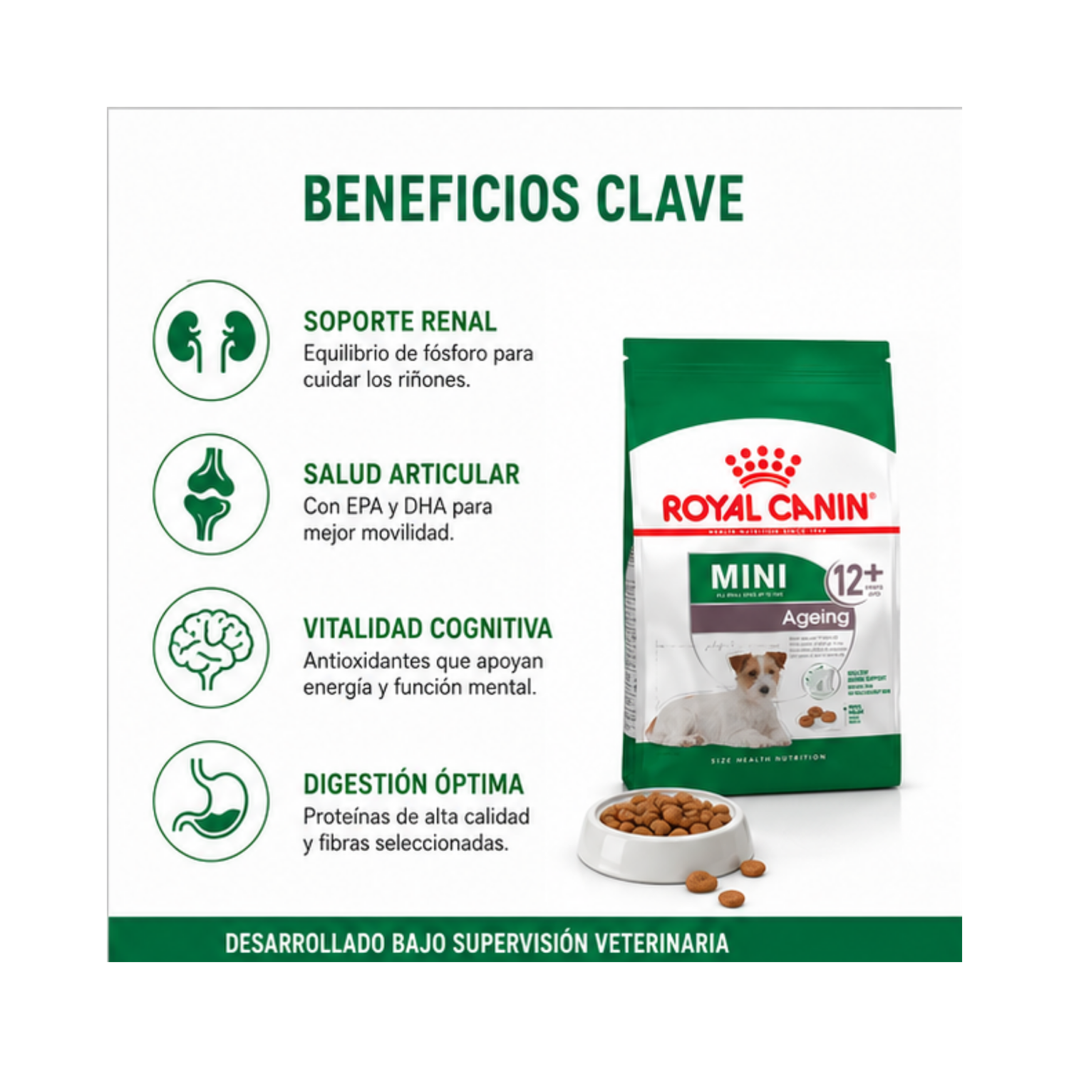 Royal Canin Para Perro Mini Ageing 12+ 3kg-2