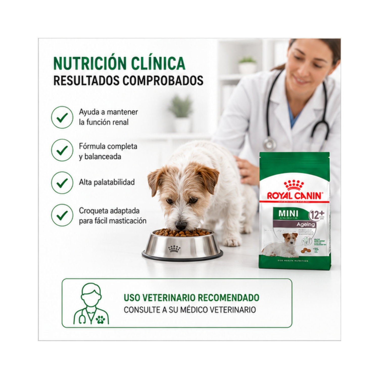 Royal Canin Para Perro Mini Ageing 12+ 3kg-3