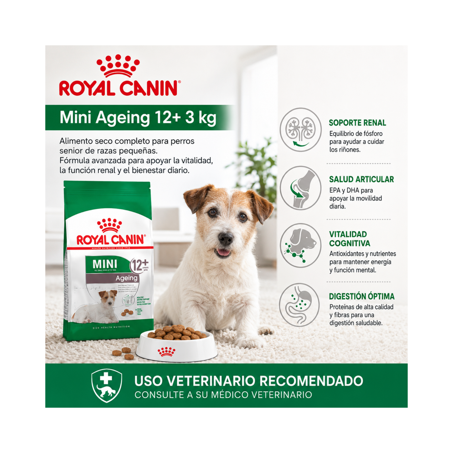 Royal Canin Para Perro Mini Ageing 12+ 3kg-5