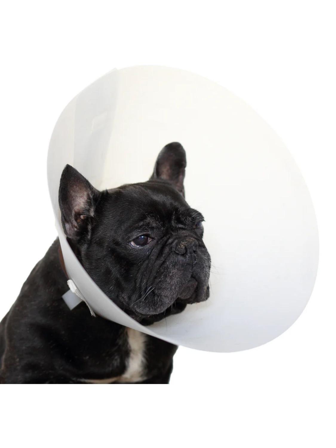 Collar Isabelino Para Mascotas Buster Classic 25 Cm-2