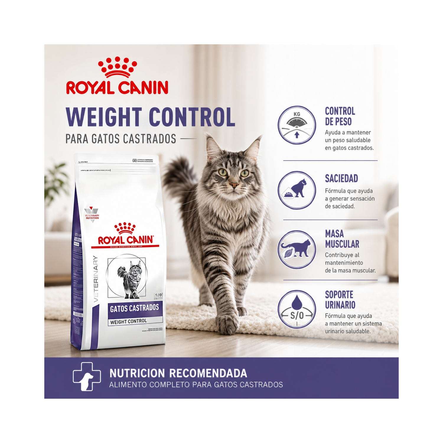 Royal Canin Weight Control Gato Castrado 7.5 kg-4