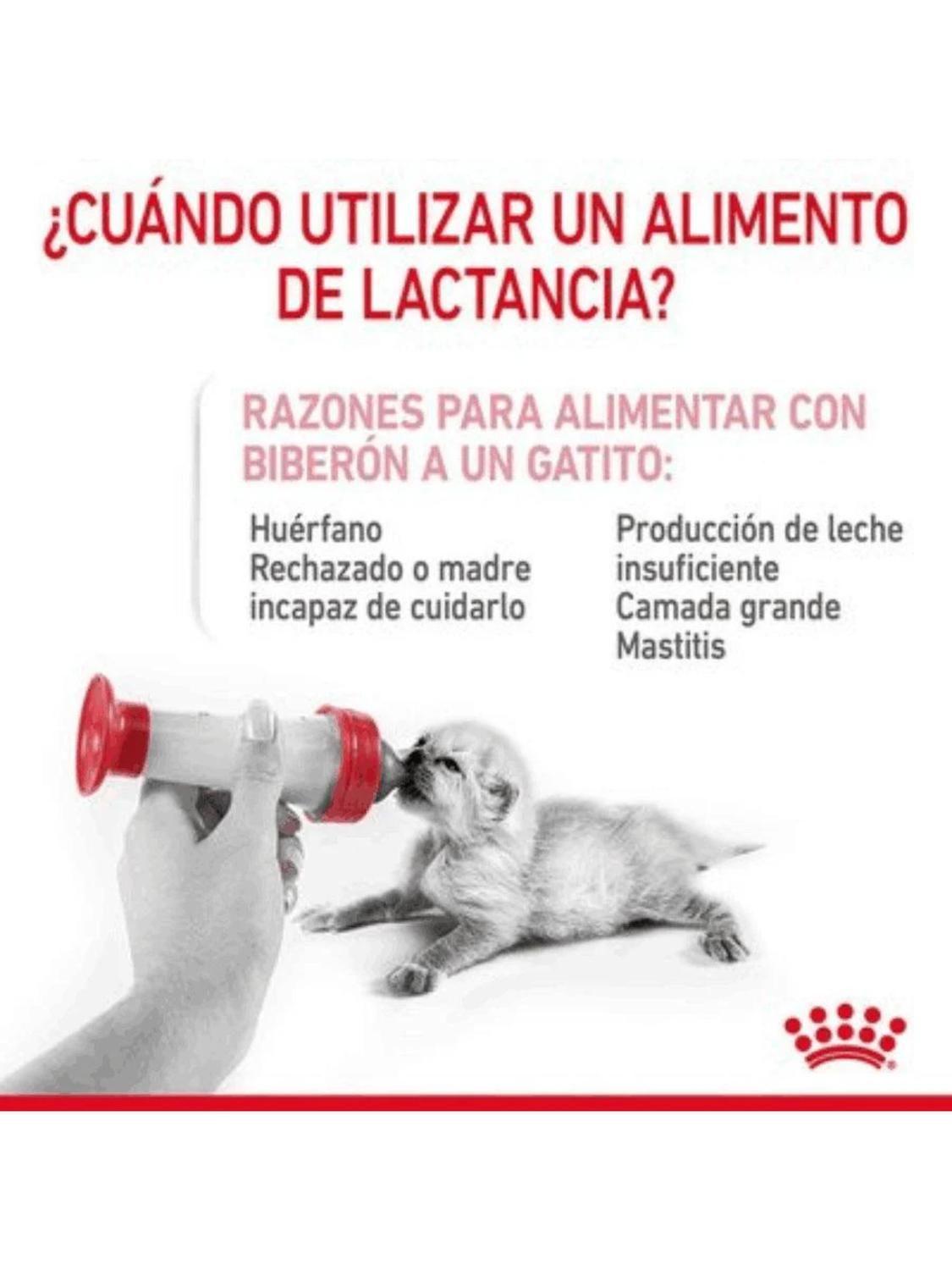 Alimento Royal Feline Baby Cat Milk 300 gr - Leche para gatos-3
