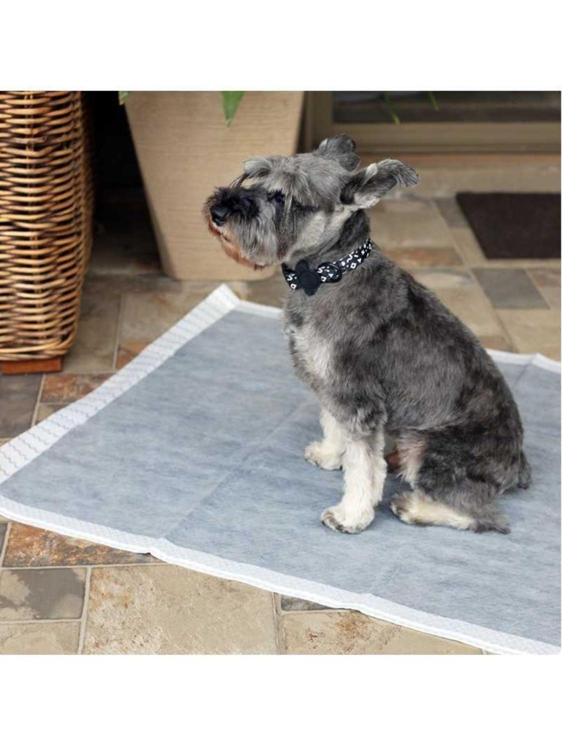Sabanillas HI5 60×60 cm Carbón Activado – Pack 30 Unidades-6