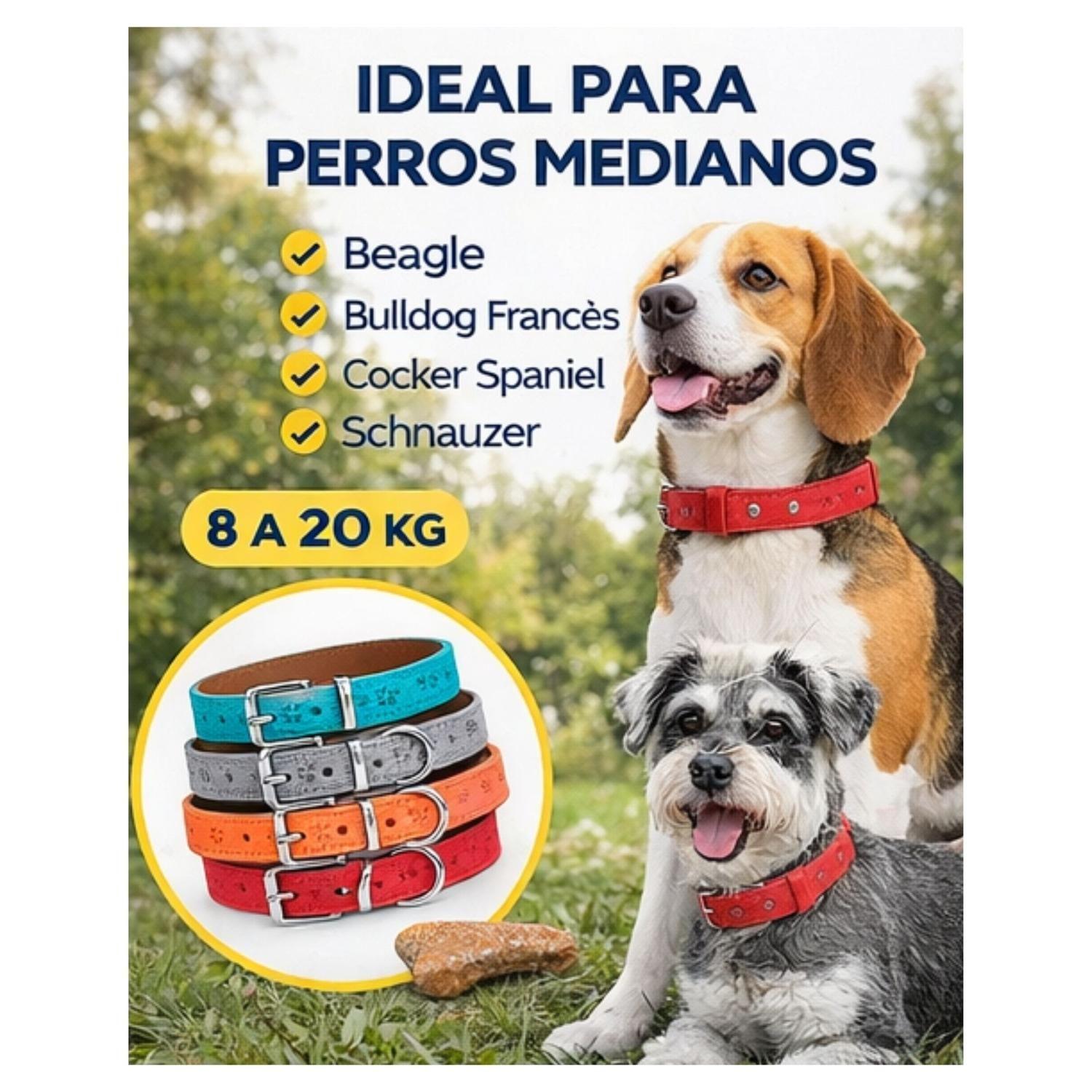 Collar Perro Eco Cuero 42 cm Diseño Patitas Ajustable-2