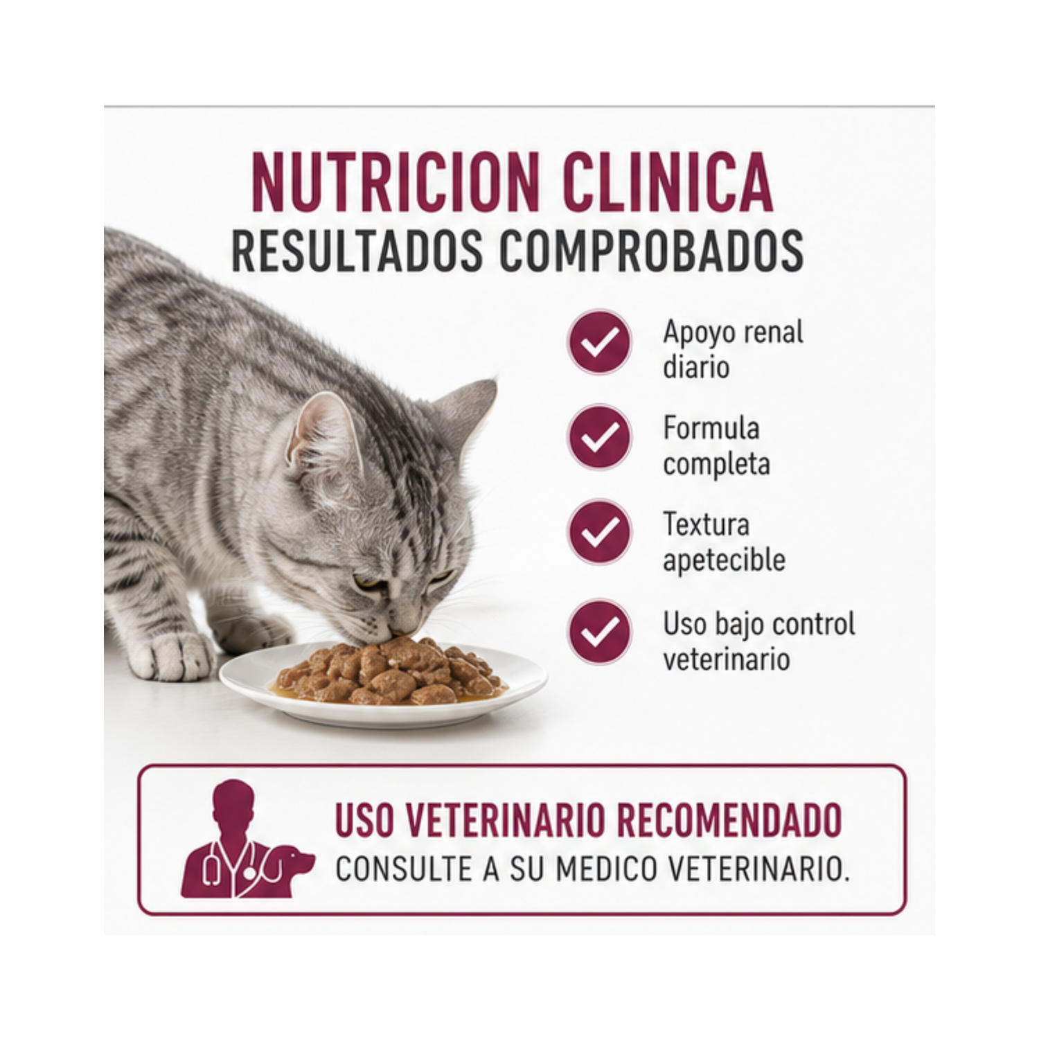 Royal Canin Pouch Renal Gato 85g | Pack 12 Sobres-2