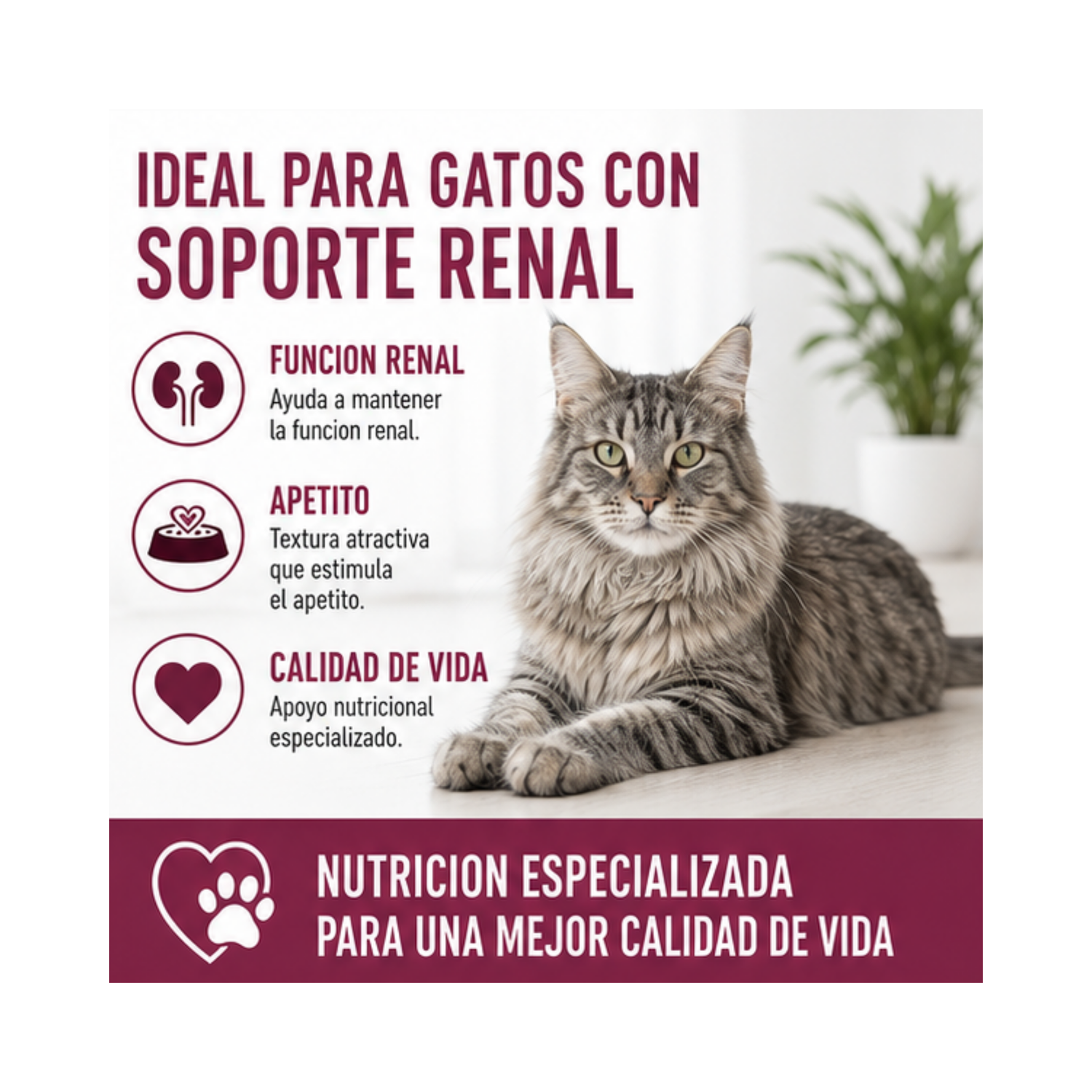 Royal Canin Pouch Renal Gato 85g | Pack 12 Sobres-3