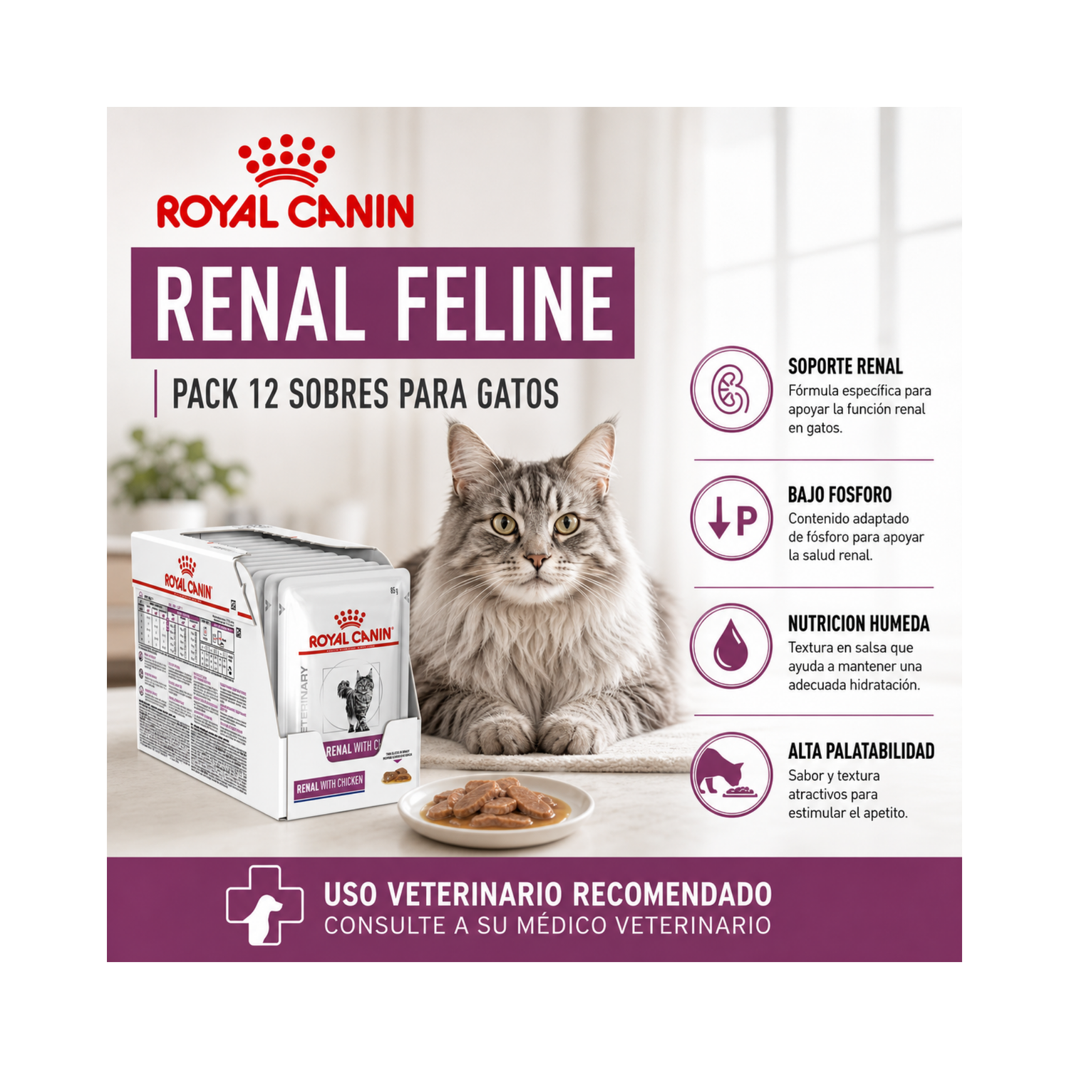 Royal Canin Pouch Renal Gato 85g | Pack 12 Sobres-4