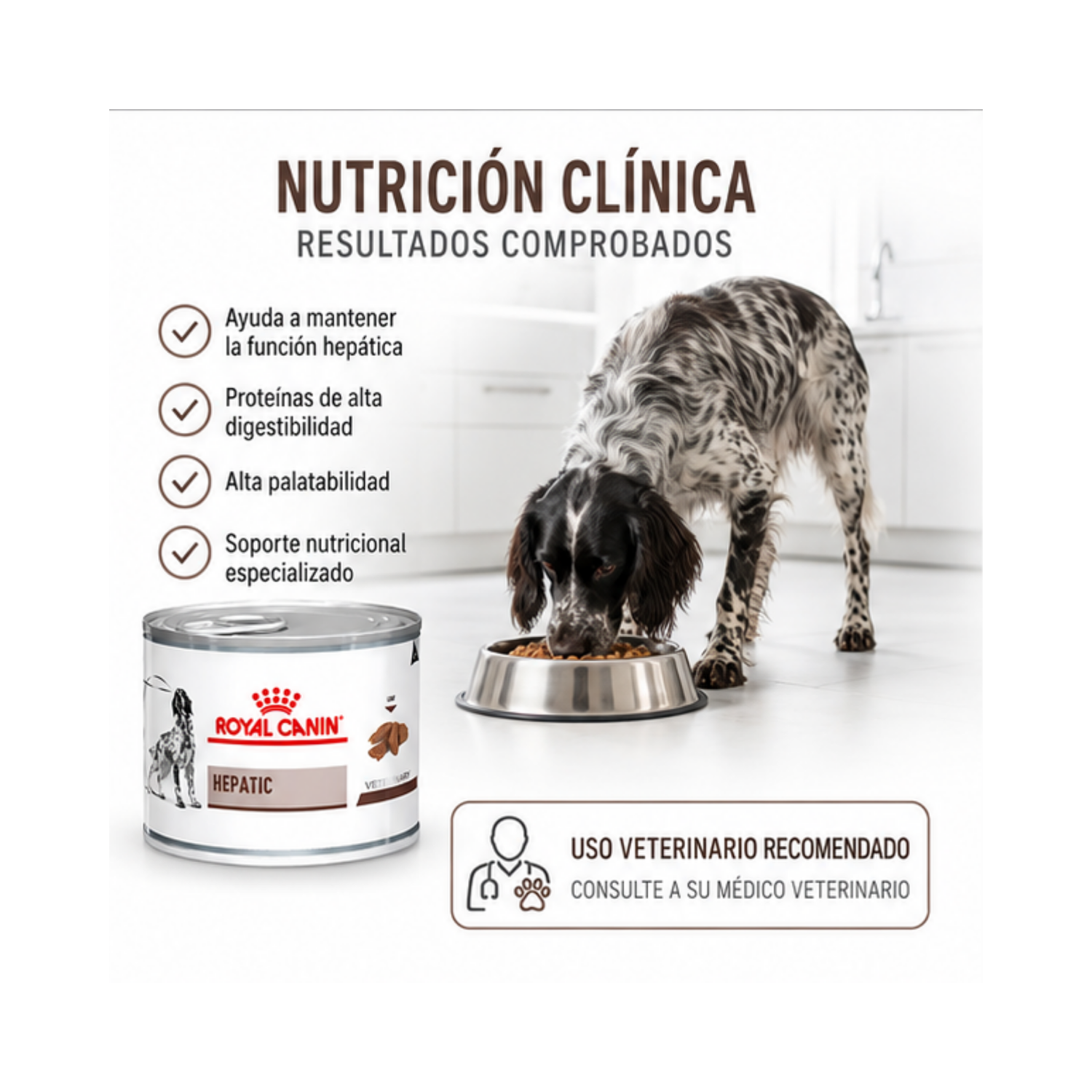 Royal Canin Hepatic Perro Lata 200g Soporte Hepático-2