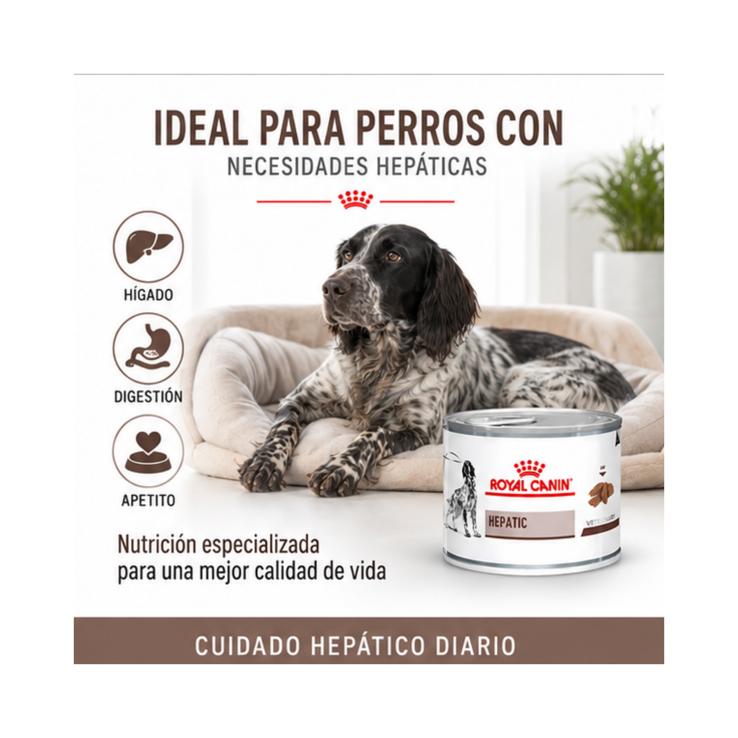 Royal Canin Hepatic Perro Lata 200g Soporte Hepático-3