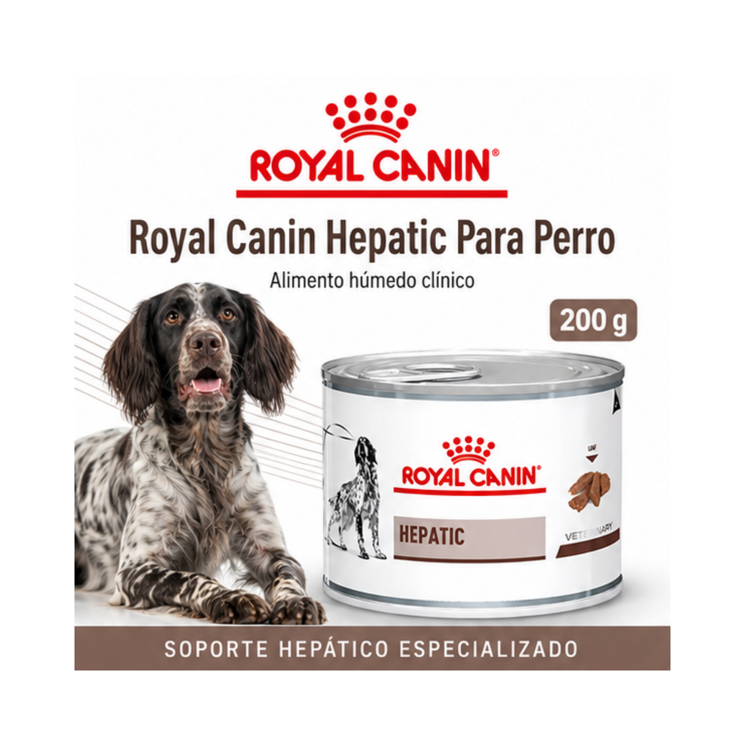 Royal Canin Hepatic Perro Lata 200g Soporte Hepático-6