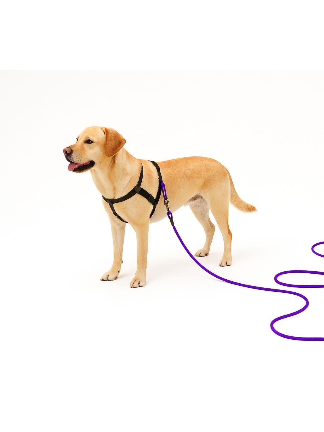 Correa Adiestramiento Perro 10 Metros Nylon Resistente-4