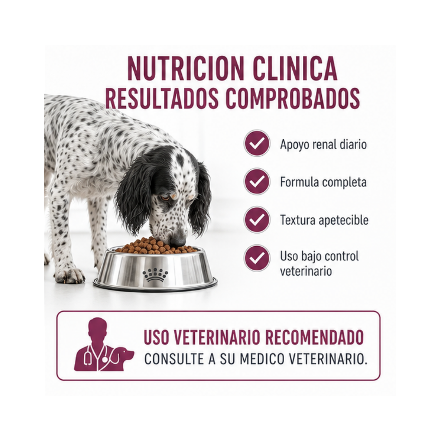 Royal Canin Renal Support Lata 385gr | Pack 6 Latas-2