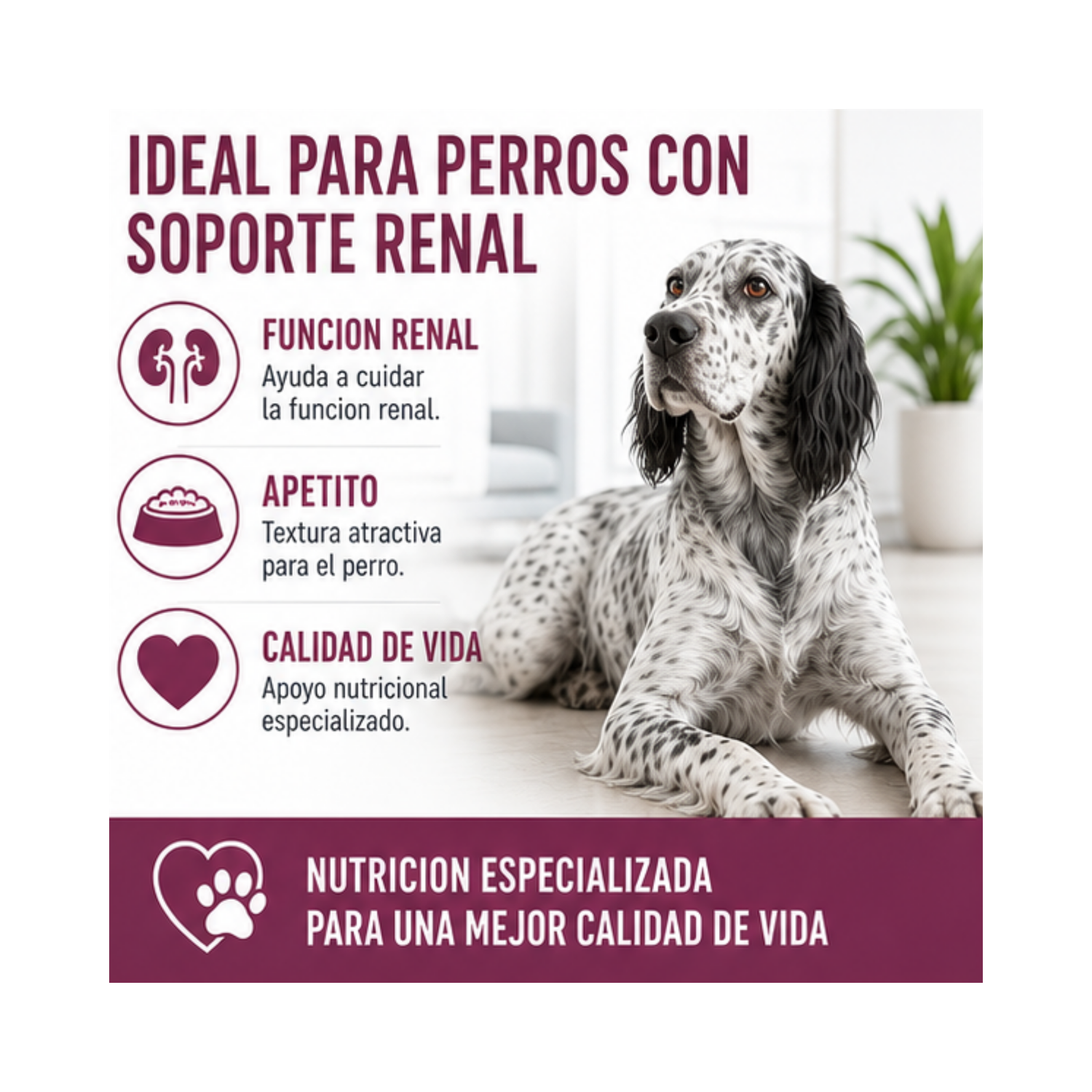 Royal Canin Renal Support Lata 385gr | Pack 6 Latas-3