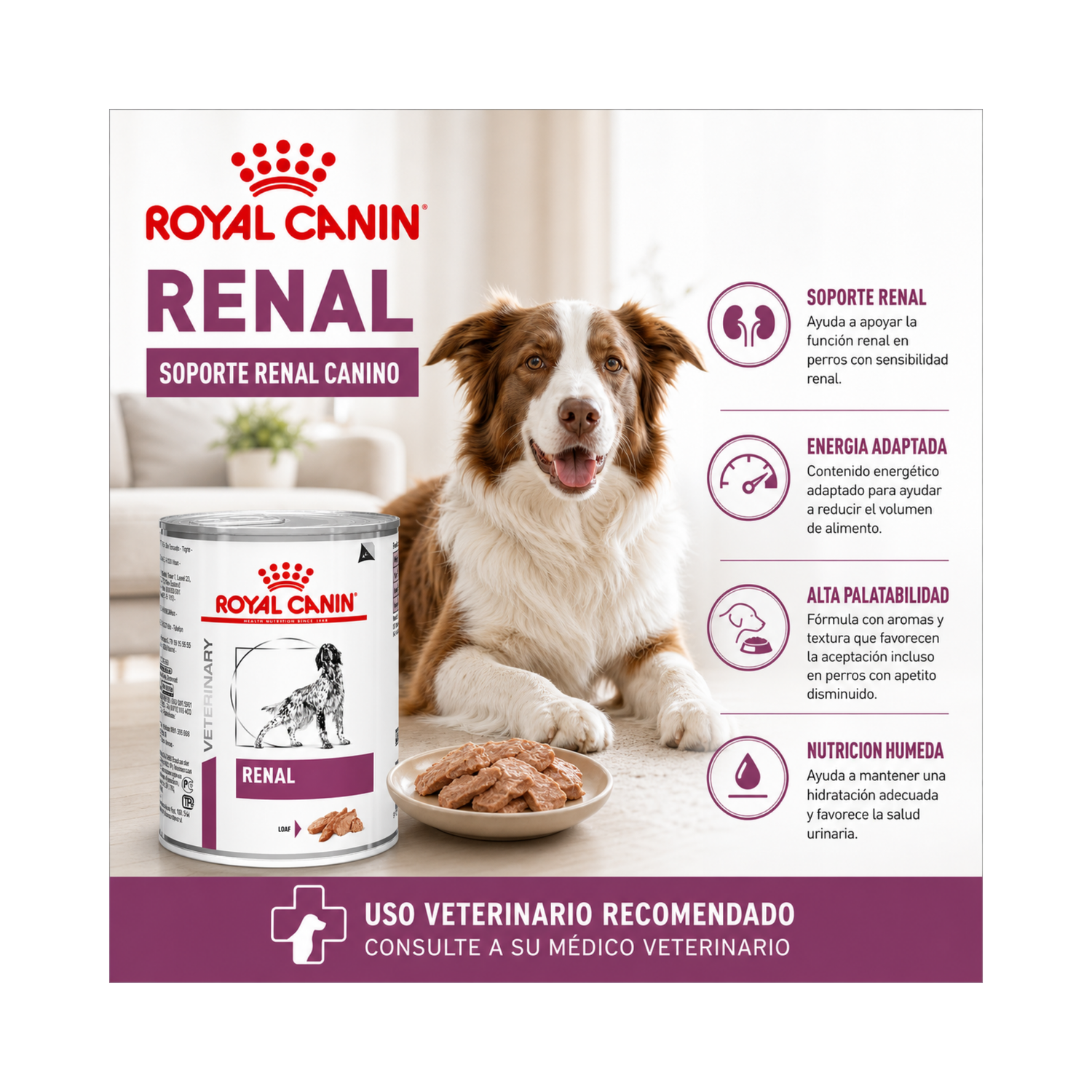 Royal Canin Renal Support Lata 385gr | Pack 6 Latas-4