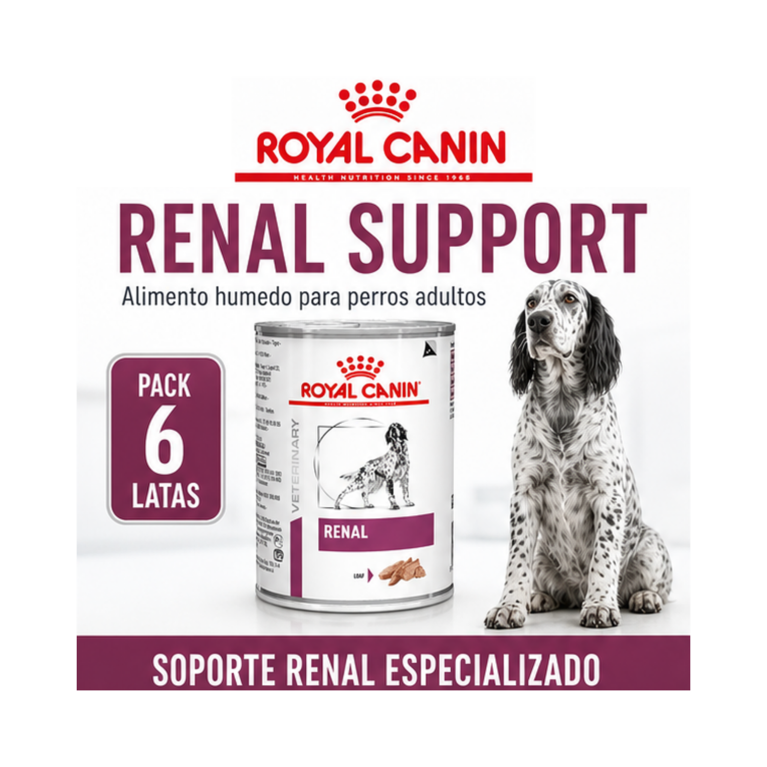 Royal Canin Renal Support Lata 385gr | Pack 6 Latas-6