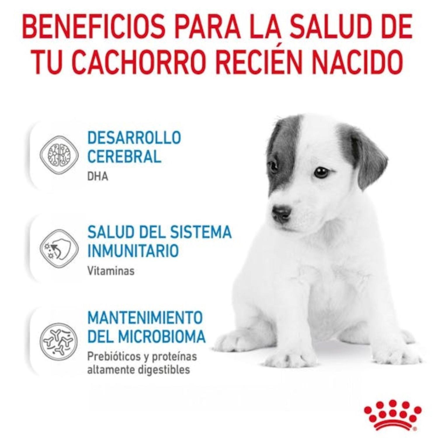 Alimento Royal Canin Baby Dog Milk 400 Gr - Leche para Perros-2