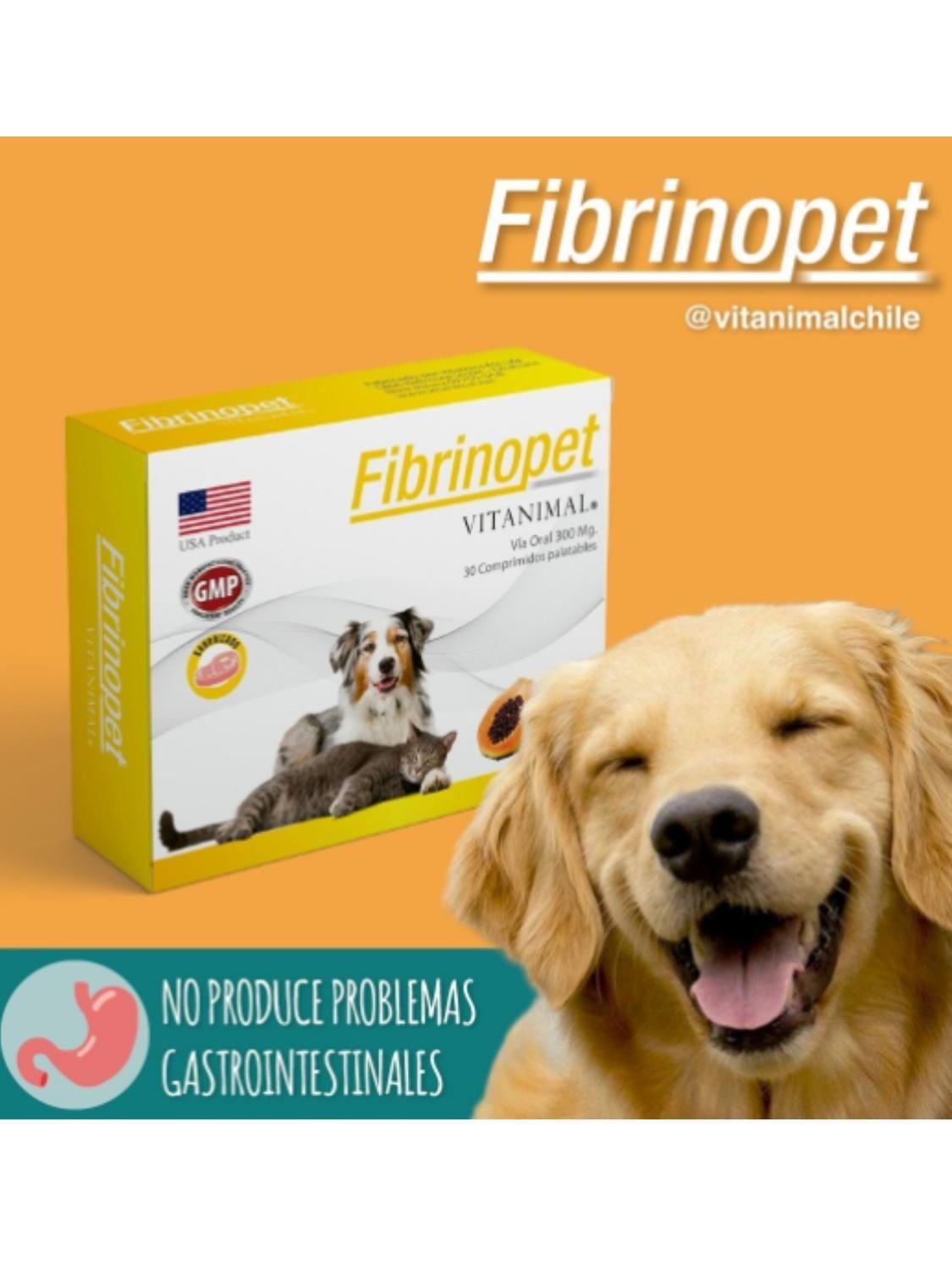 Fibrinopet Vitaminal Antinflamatorio - 10 Comprimidos-1