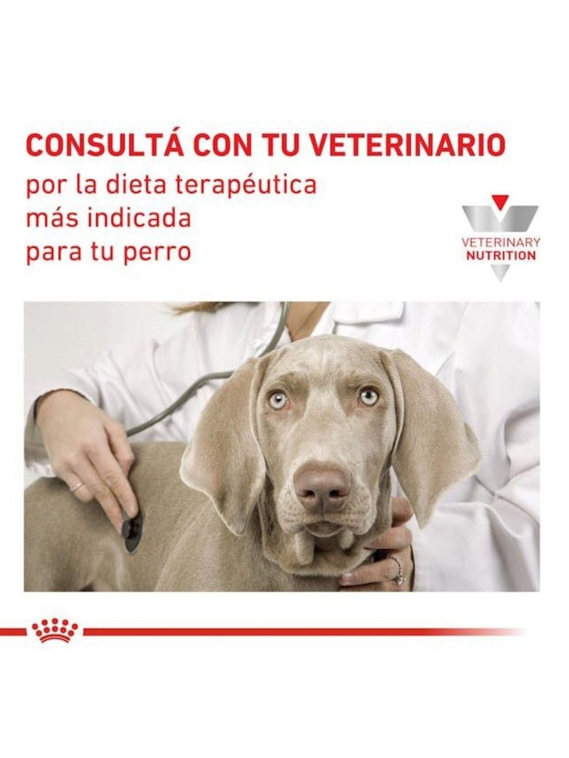 Alimento Royal Canin DIABETIC CANINE 10kg-3