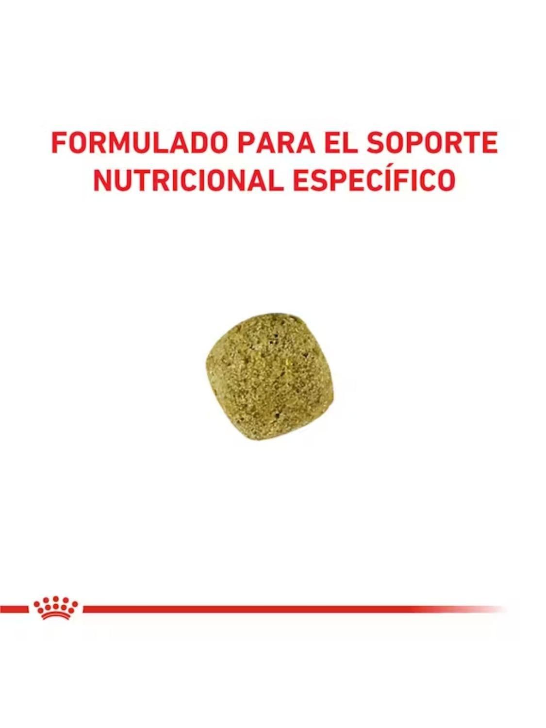 Alimento Royal Canin DIABETIC CANINE 10kg-4