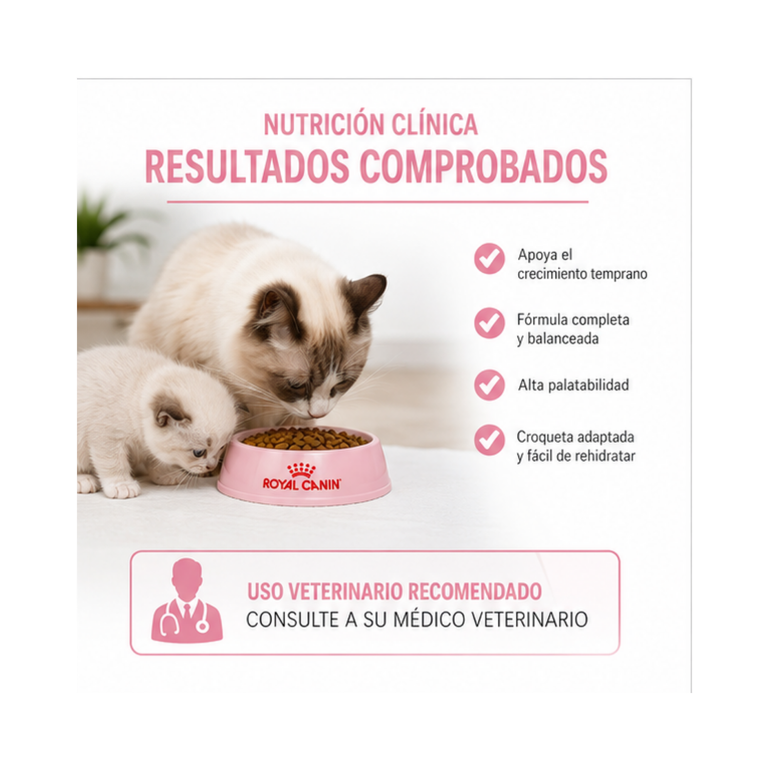 Royal Canin Mother & Babycat Gatos 1.5kg | Gatitos-2